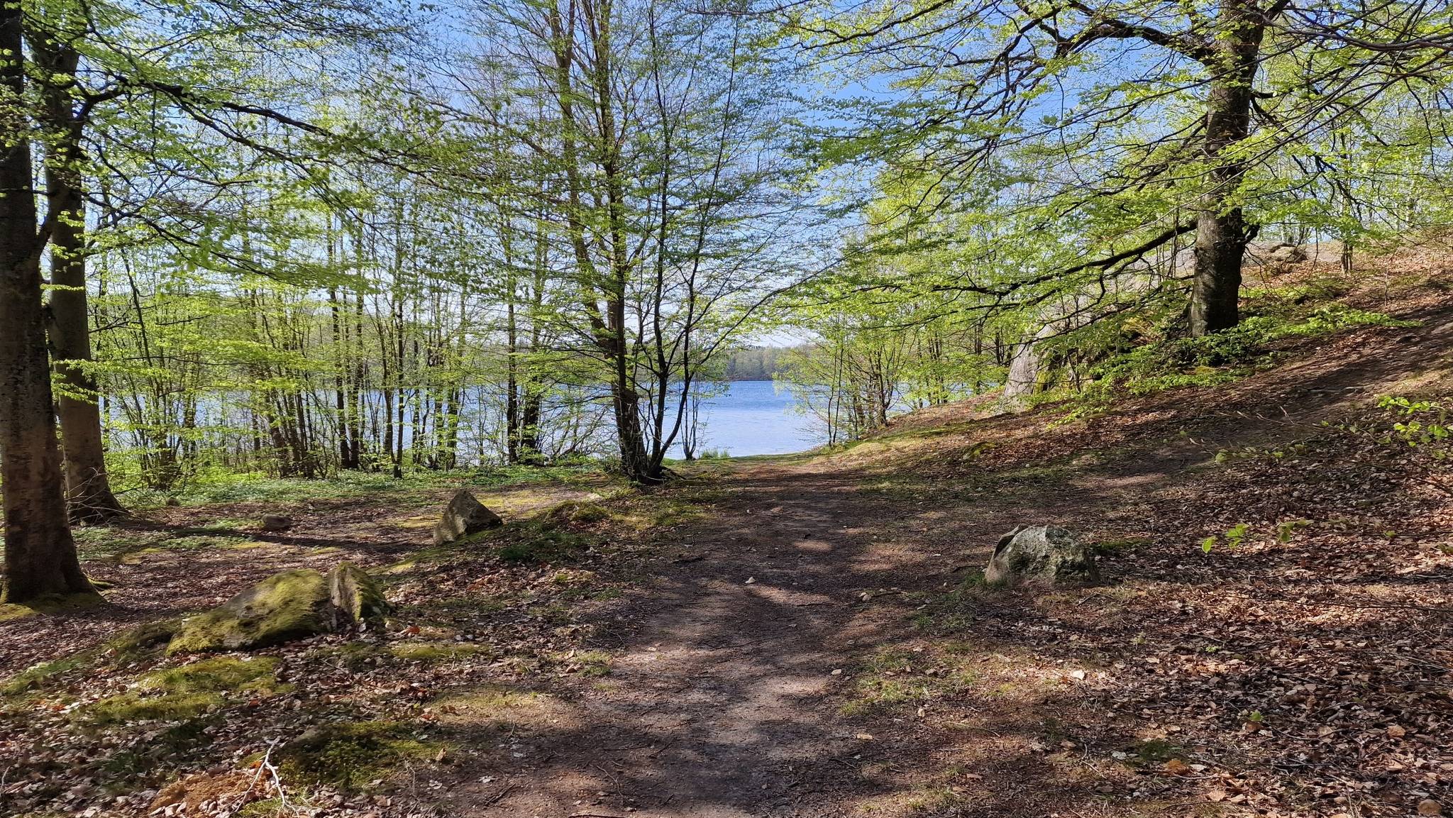 2 rum Vinterbonat fritidshus på Korsaröd 206 Höörs kommun - bild 68