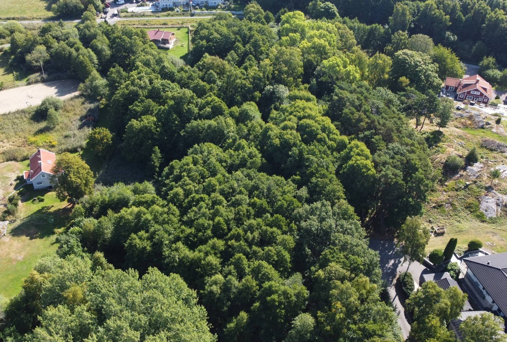 gård med jordbruk på 2,2 ha i Bukärr Bukärr, Kungsbacka kommun - bild 2