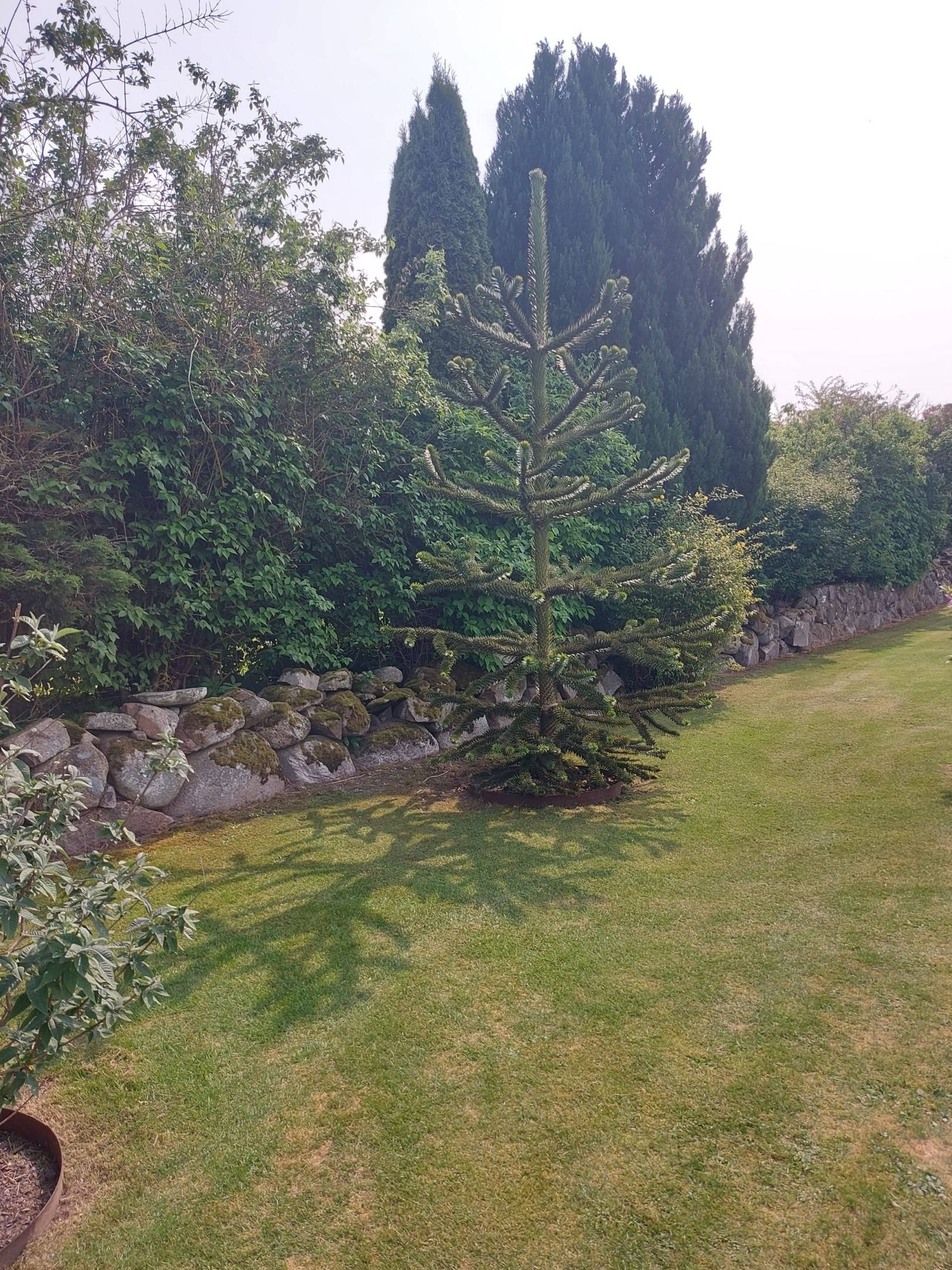 5 rum Villa på Axel Nils strädde 1 Södra Mellby Simrishamns kommun - bild 26
