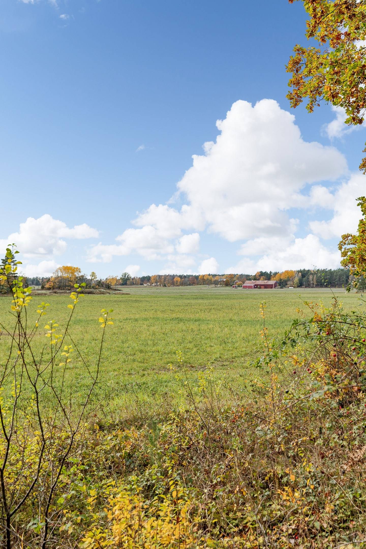 4 rum Fritidshus på Mistekärr Janstorp Loftahammar Västerviks kommun - bild 53