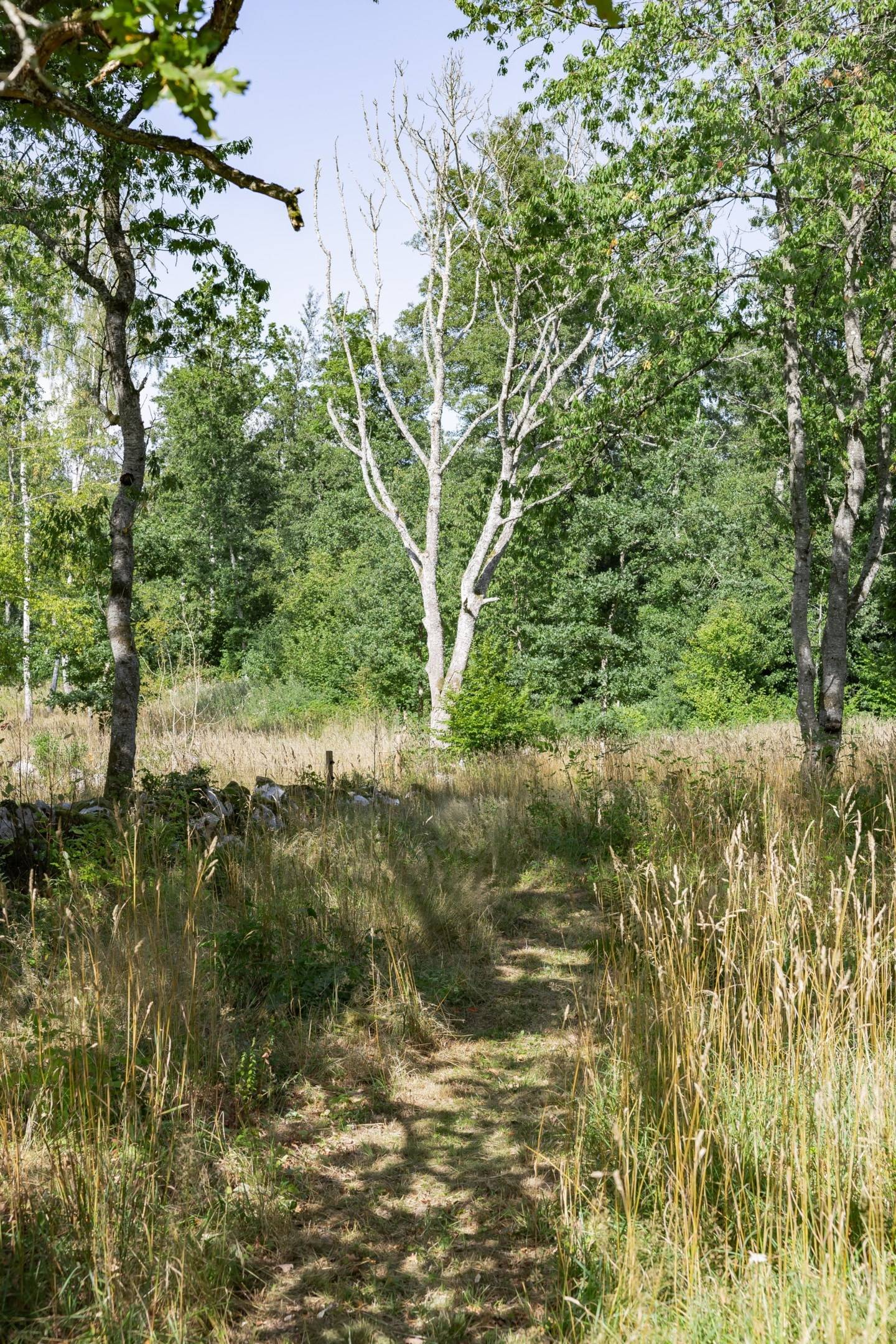 5 rum Gård/skog på Råboavägen 7 Rörum Simrishamns kommun - bild 30