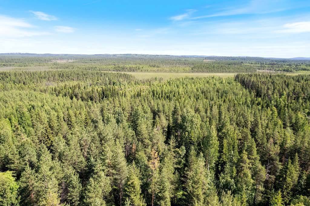 3 rum Gård med jordbruk på Kiviniemi 12 Teurajärvi Pajala kommun - bild 6