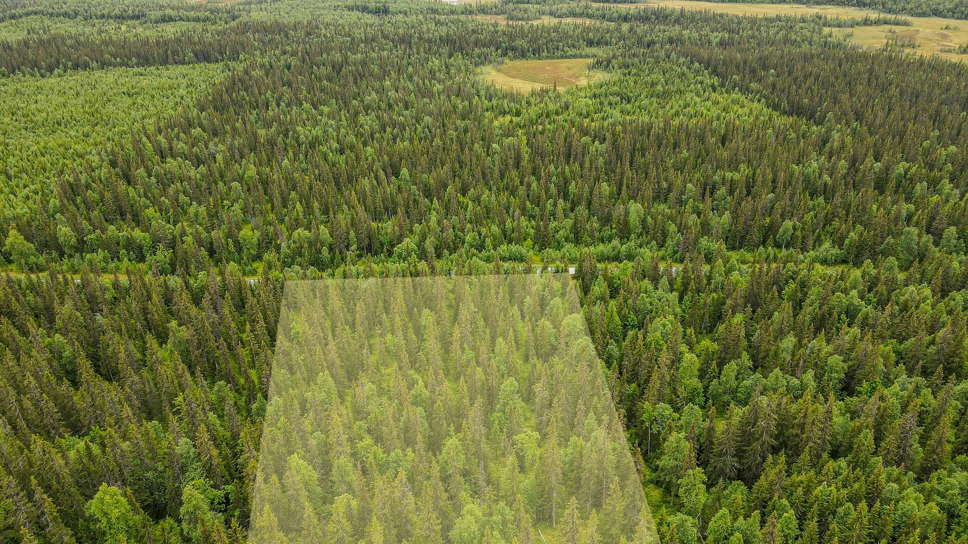 3 rum gård/skog på Matsdal 42 Dikanäs, Vilhelmina kommun - bild 3