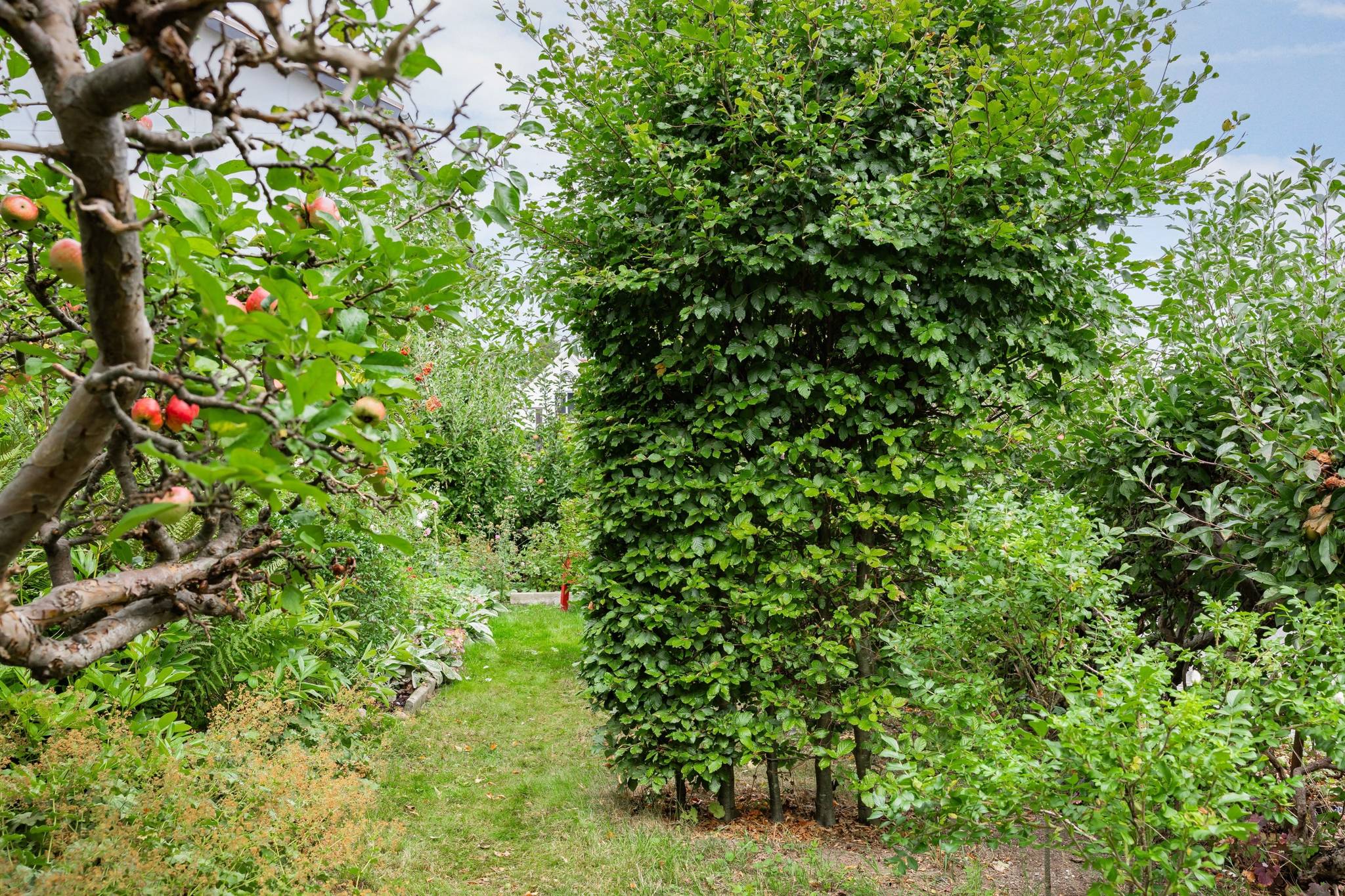 6 rum Villa på Palmlundsvägen 5 Sankt Olof Simrishamns kommun - bild 63