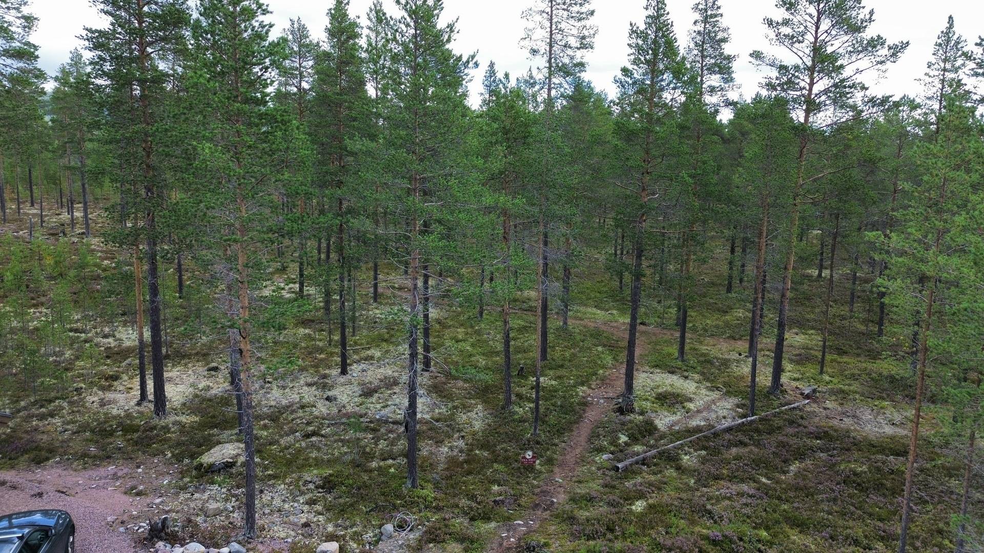 tomt på Björnvägen 24 Fjällfoten, Älvdalens kommun - bild 4