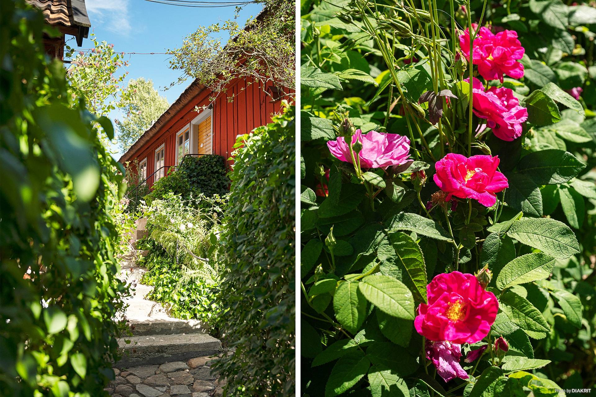 7 rum Gård utan jordbruk på Fru Hammars väg 3 Brösarp Tomelilla kommun - bild 20