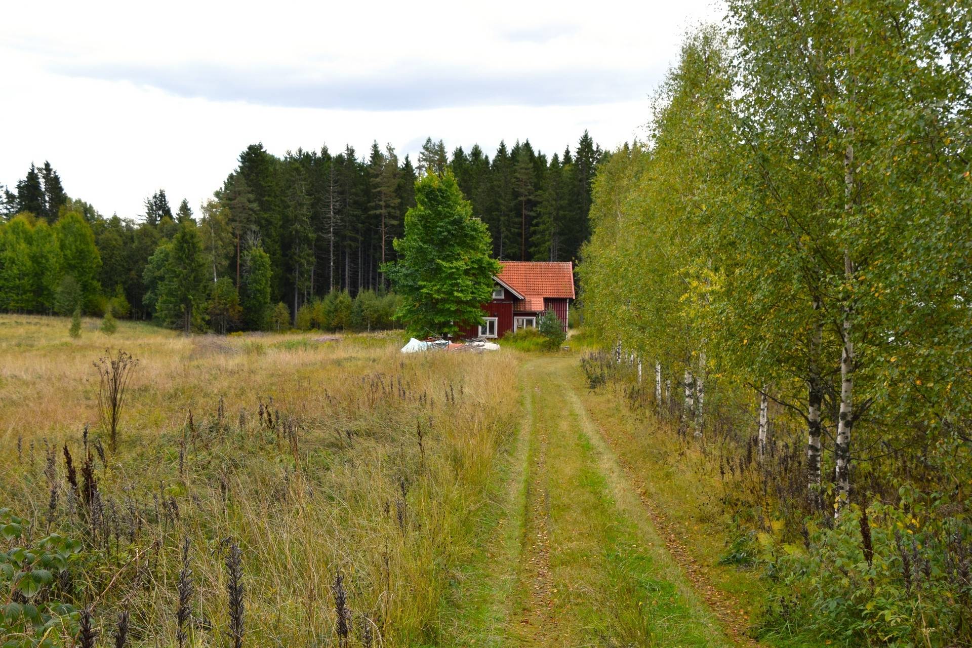 Gård med jordbruk på Snårbotten Gärdet Laggartorp Storfors kommun - bild 9