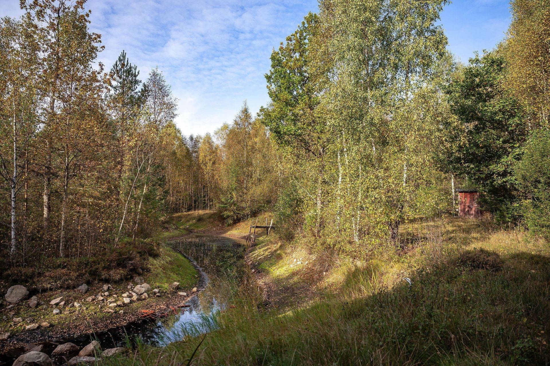 Gård/skog på Jägersborgsvägen Hässleholms kommun - bild 15