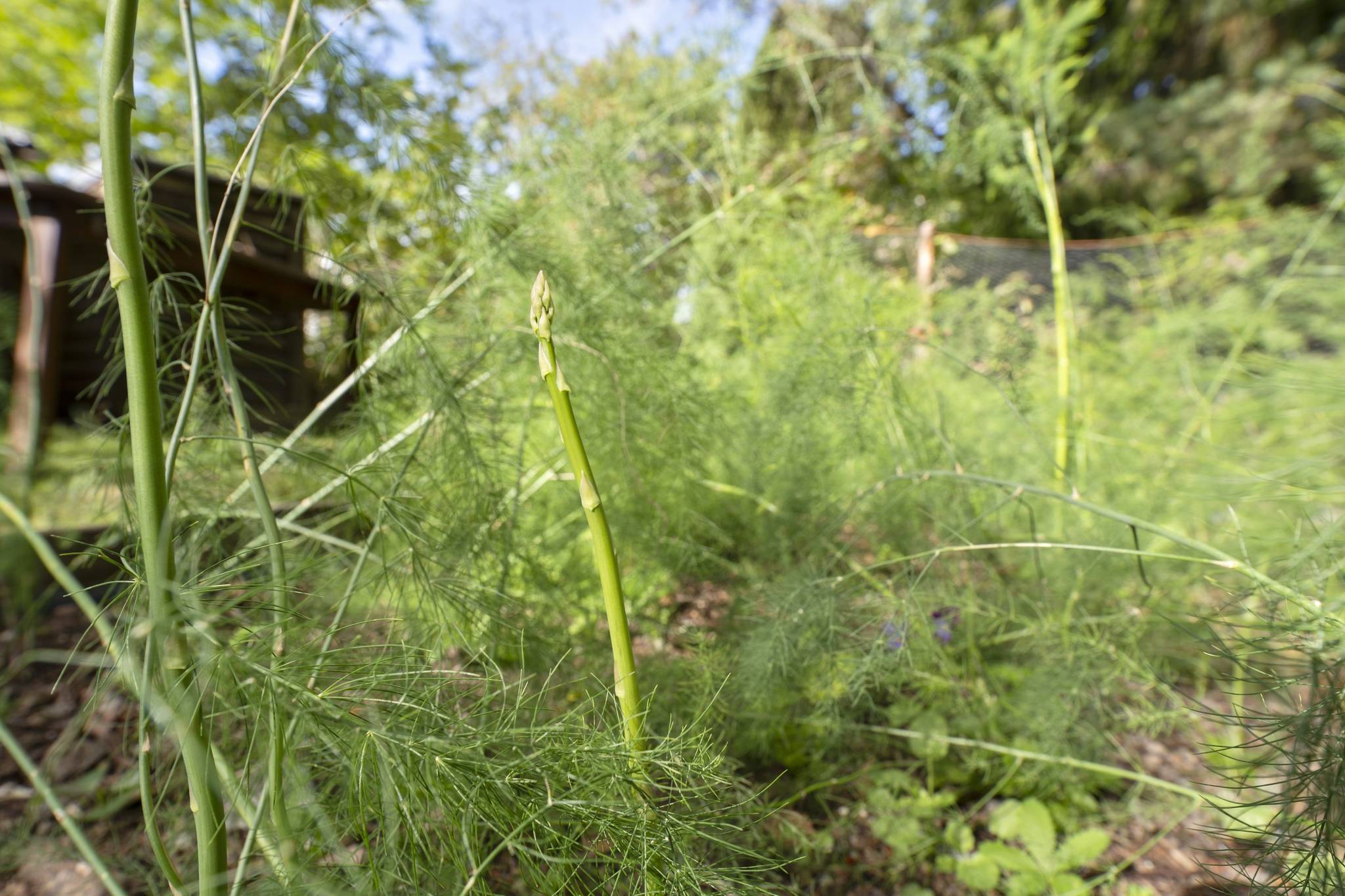 5 rum Villa på Rabeniusvägen 24 Södra Gottsunda Uppsala kommun - bild 47