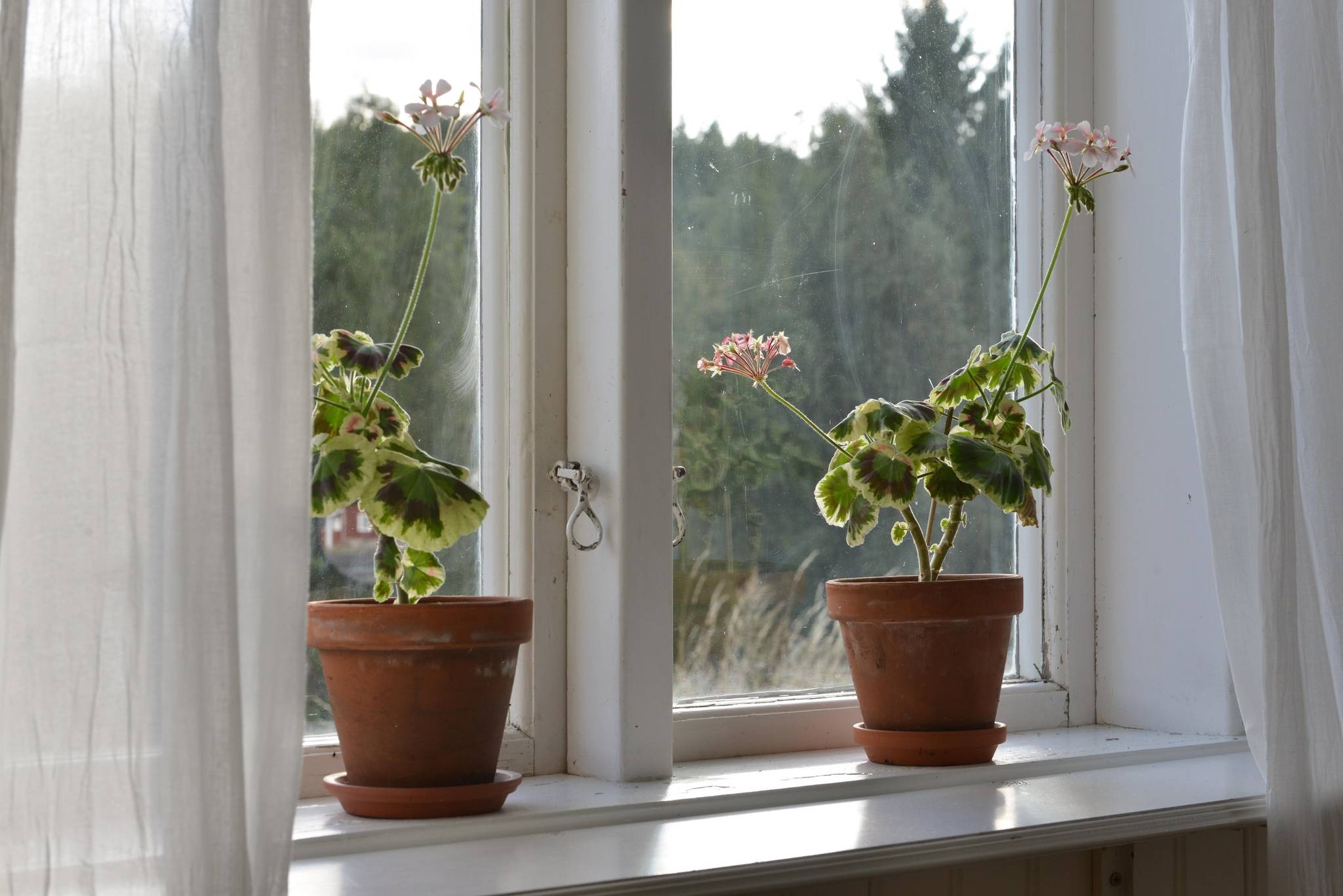 7 rum Villa på Svalboviken Vik Näshulta Eskilstuna kommun - bild 24