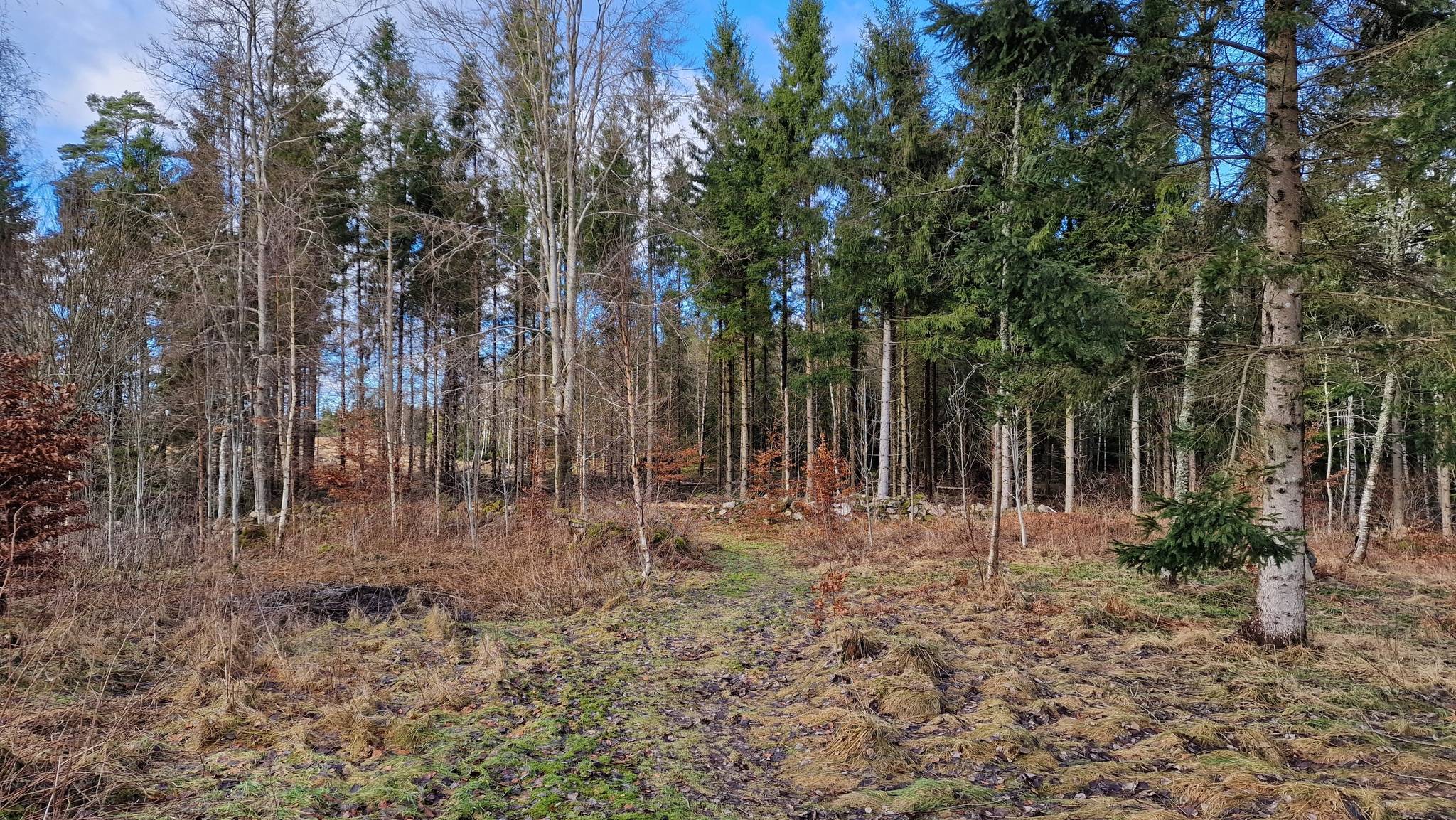 8 rum Gård med skogsbruk på Yxenhult 7460 Örkelljunga kommun - bild 100