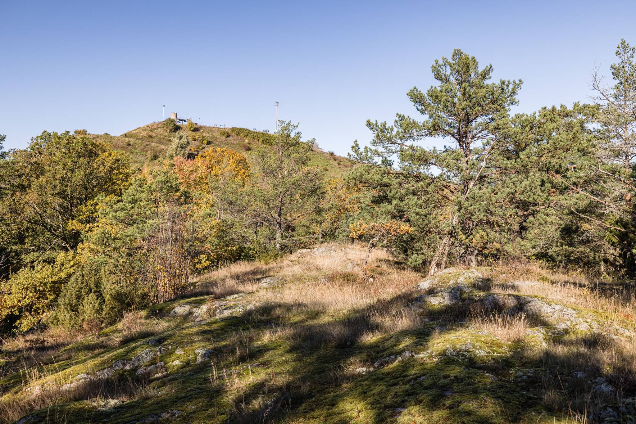 2 rum Lägenhet på Finn malmgrens väg 75 Hammarbyhöjden/Björkhagen Stockholms kommun - bild 40