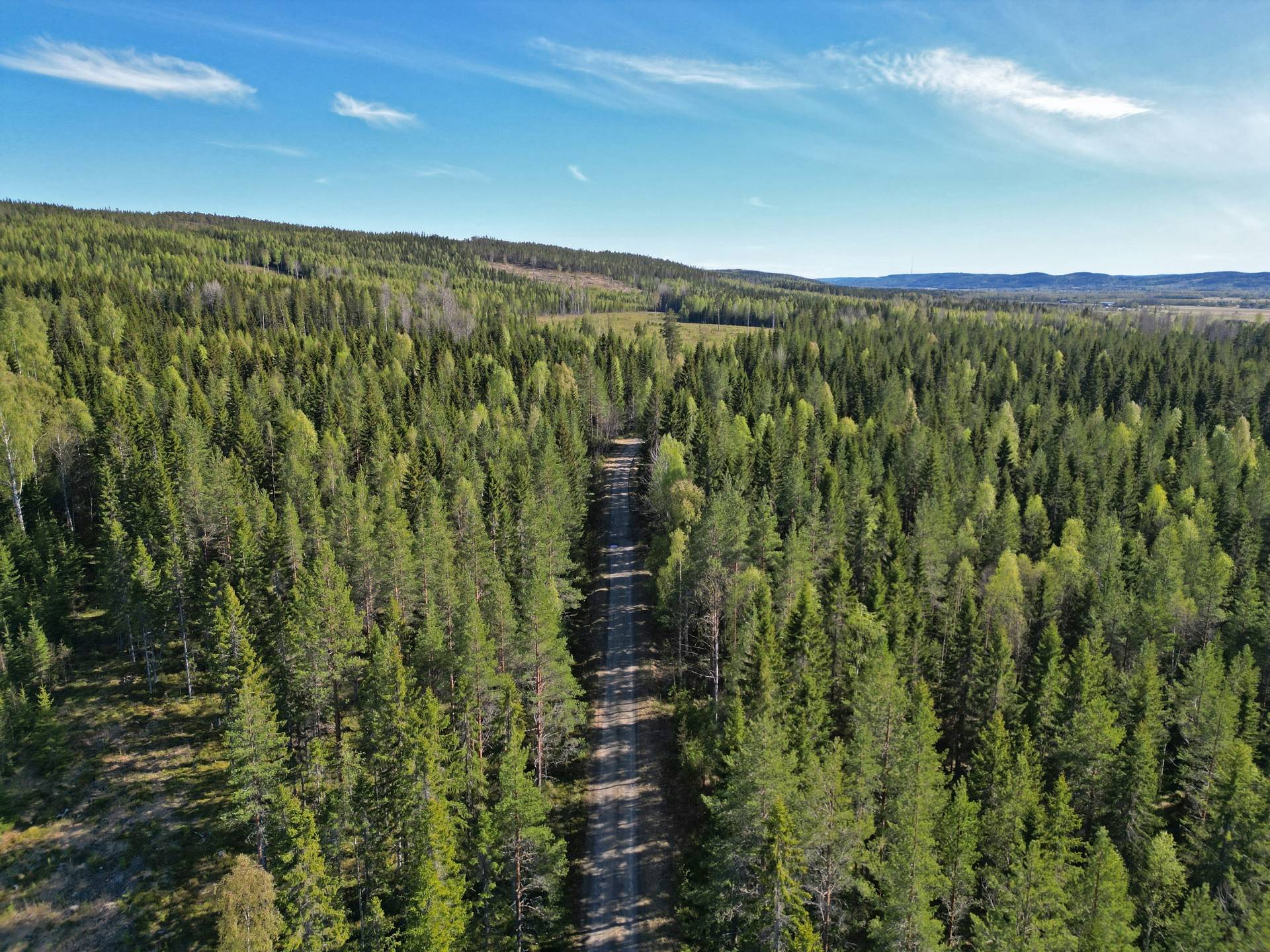 Gård/skog på Svettåker Vännäs kommun - bild 4