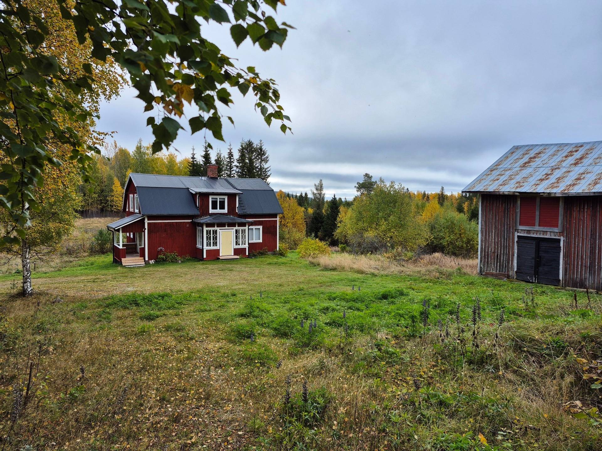 Gård/skog på Bördigt vid Norrberg LJUSDAL - NORRBERG Ljusdals kommun - bild 2