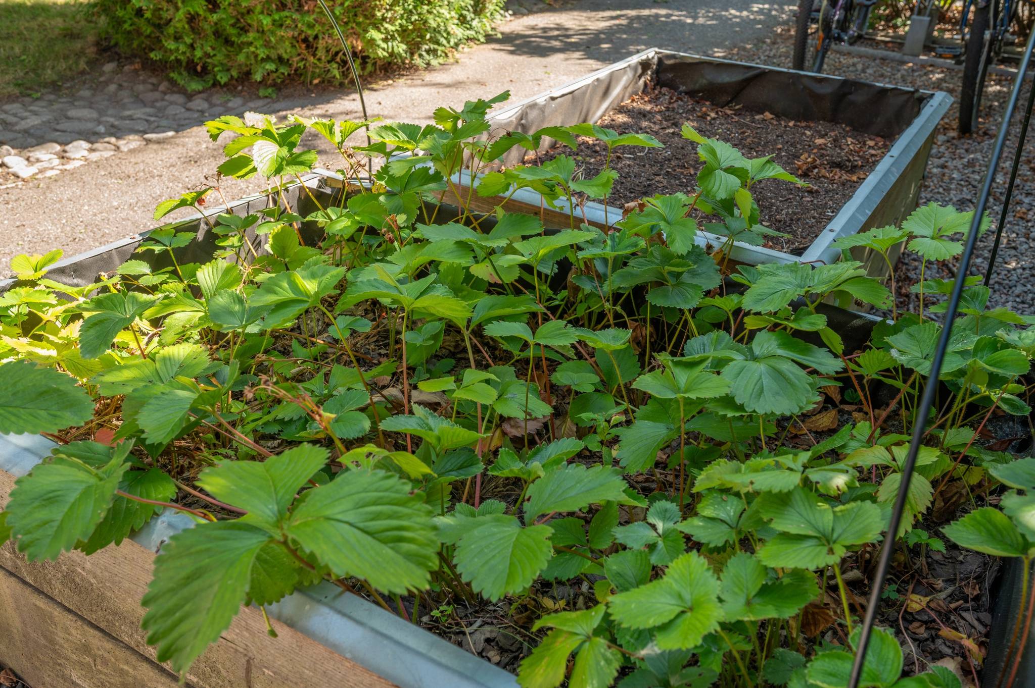 4 rum Radhus på Krusbärsvägen 169 Peterslund Oxelösunds kommun - bild 31