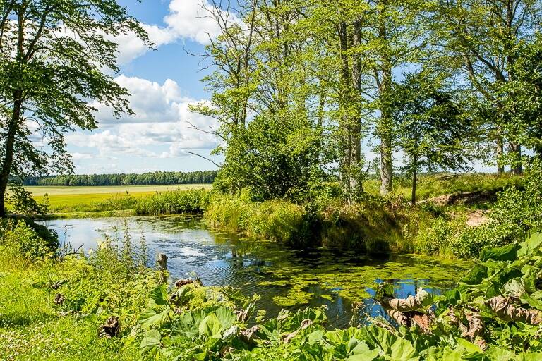 650 m² Övrig på Ruders Egendom På Landet Tibro kommun - bild 80