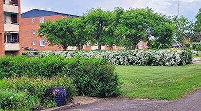 3 rum Lägenhet på Magnus Erikssons väg 8C, 2 vån Centralt Vadstena kommun - bild 25