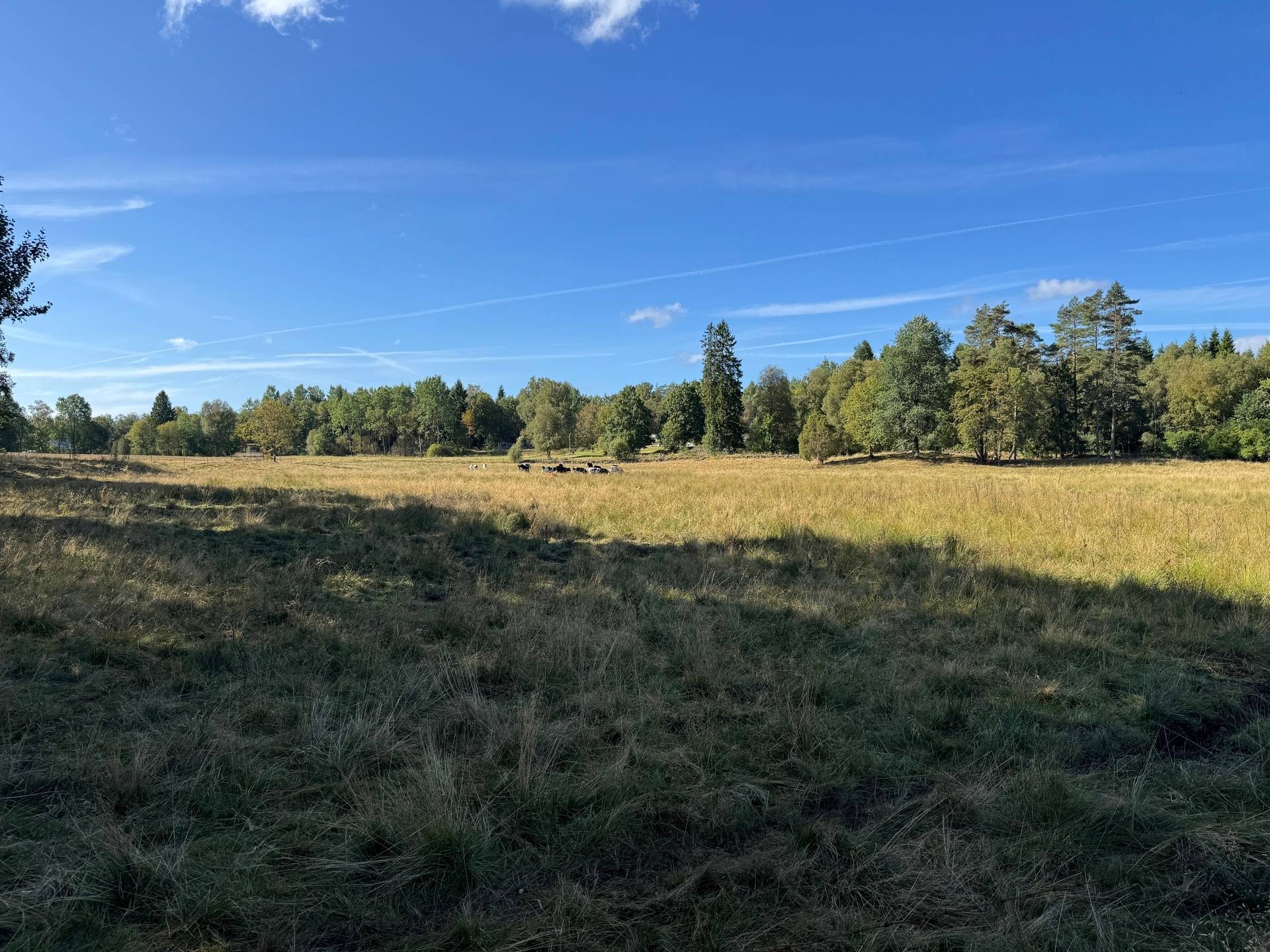 Gård med jordbruk på Ringestena Lillegården 1 Ringestena Svenljunga kommun - bild 66