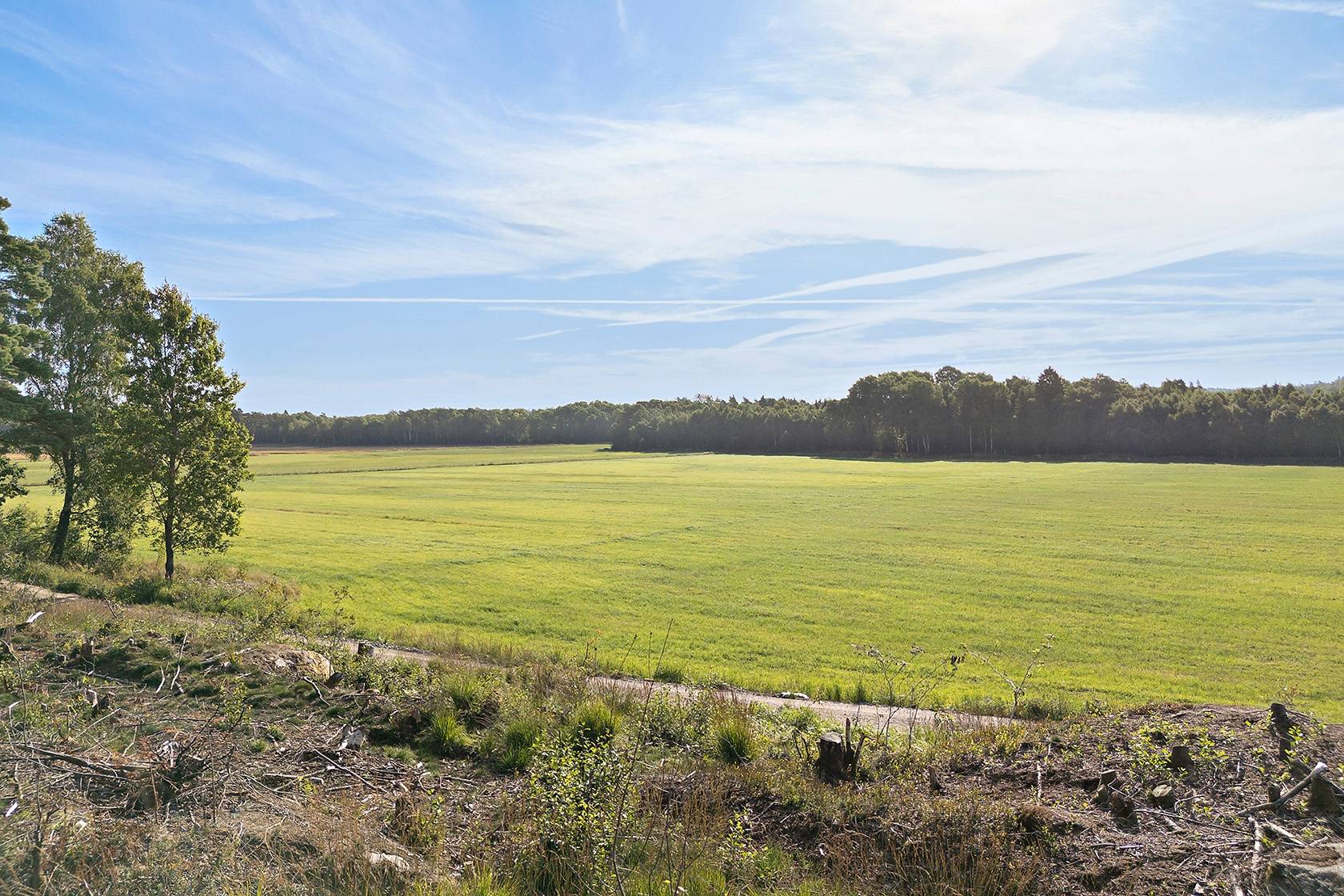 Frillesås, Kungsbacka kommun