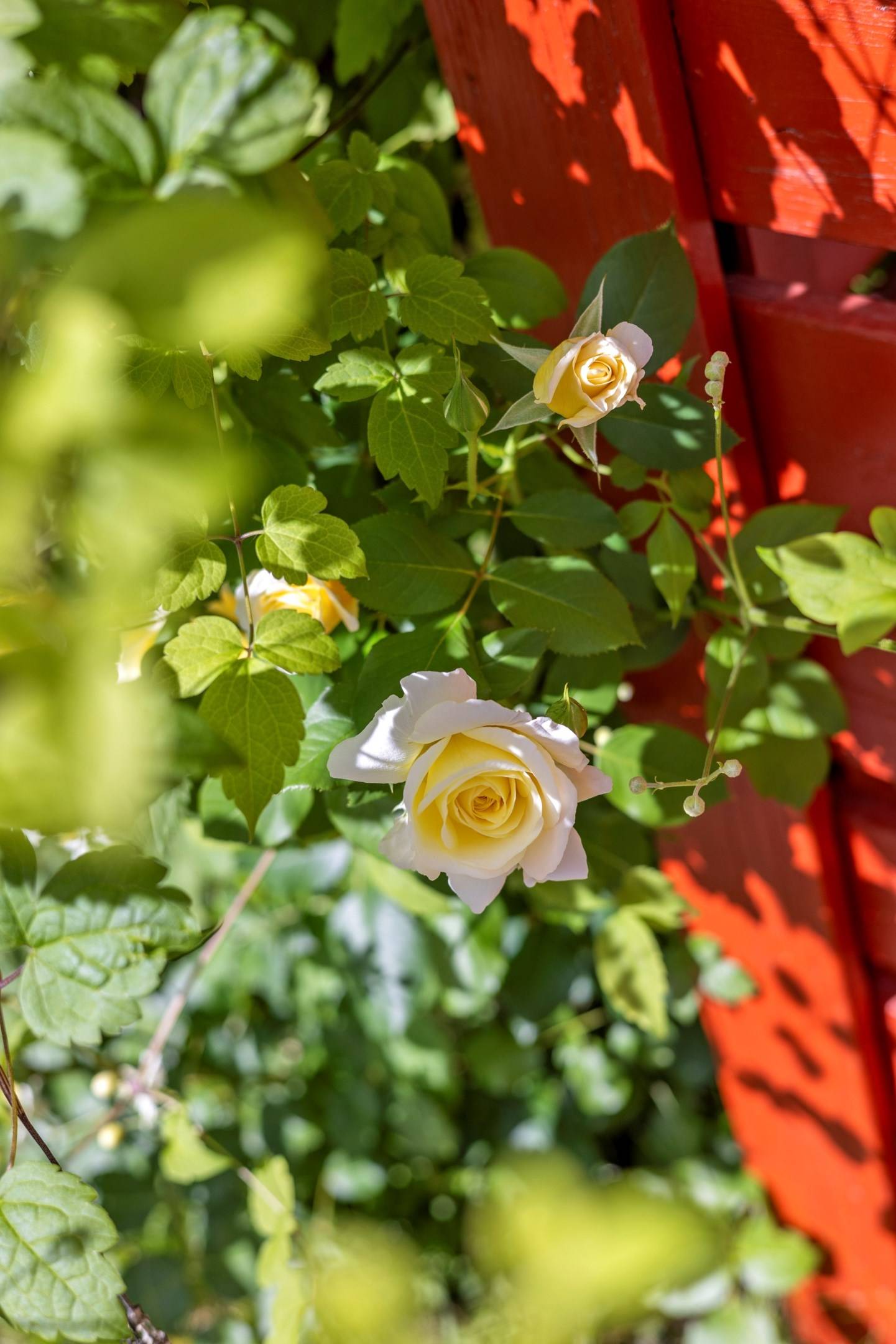 4 rum Villa på Åskmolnsvägen 33 Storvreta Uppsala kommun - bild 52