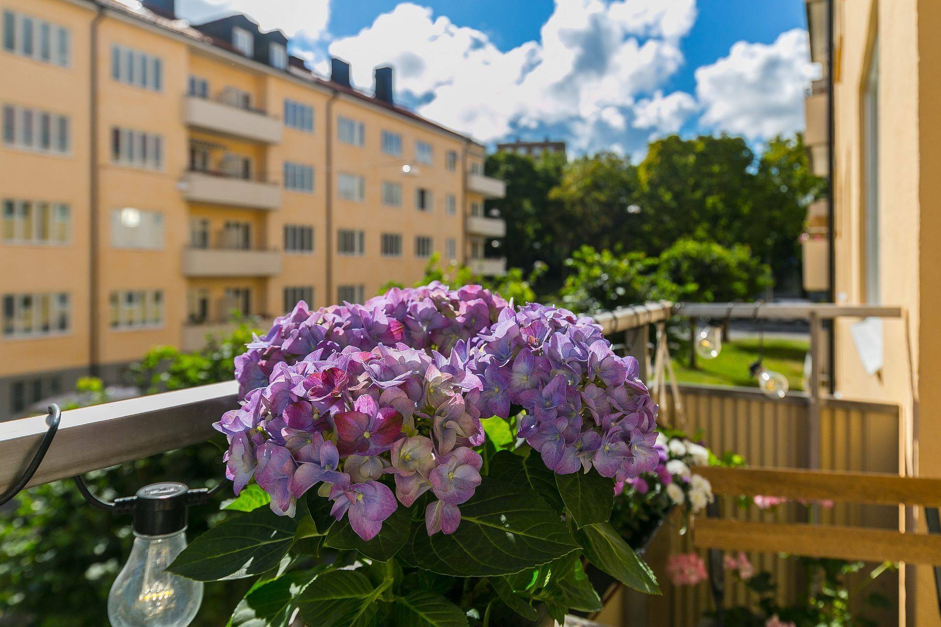 2 rum Lägenhet på Ernst Ahlgrens Väg 10, 1,5 tr Kungsholmen - Fredhäll Stockholms kommun - bild 3