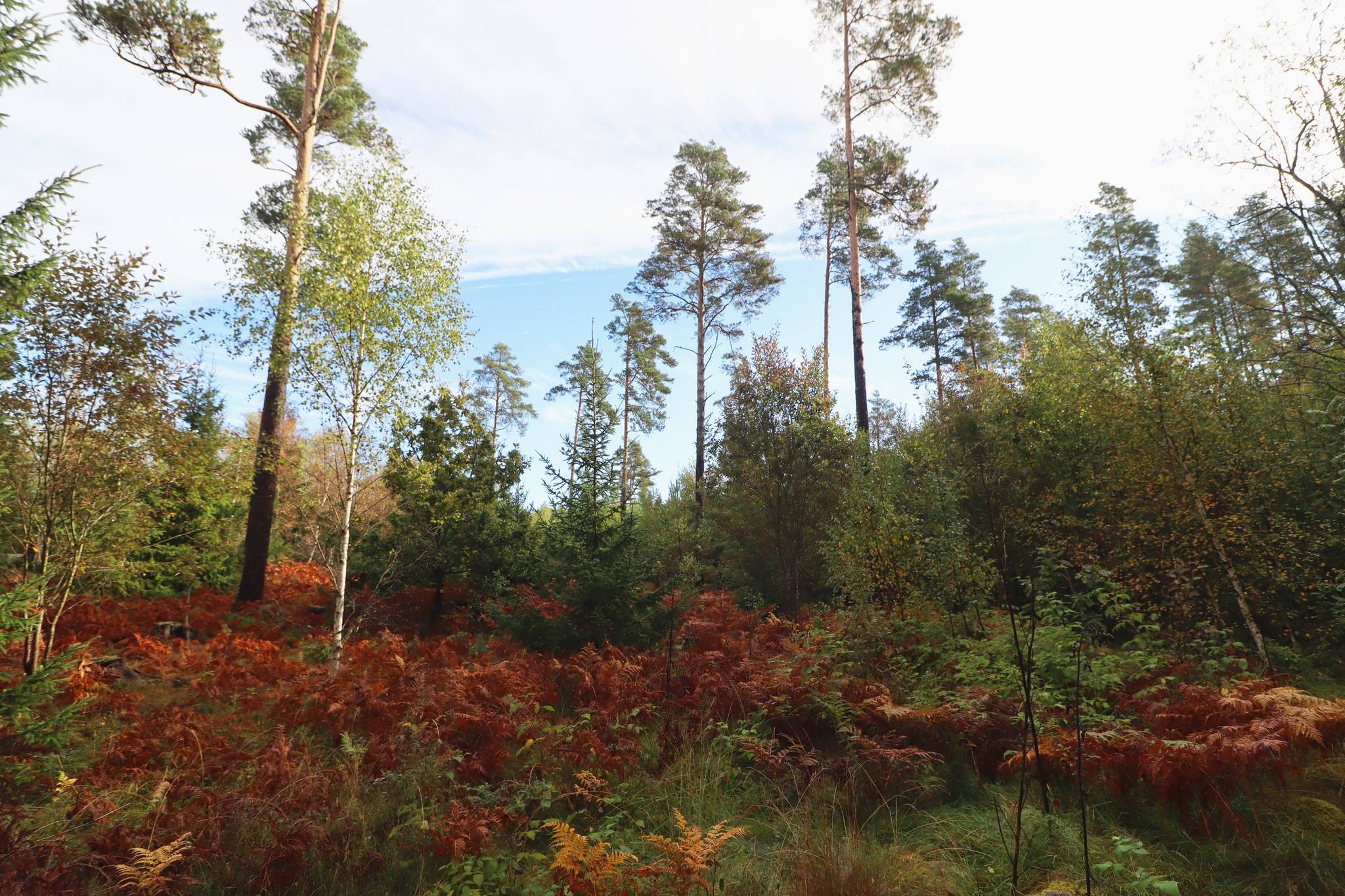 2 rum Gård/skog på Haglundavägen 17 Gottröra - Haglunda Norrtälje kommun - bild 6