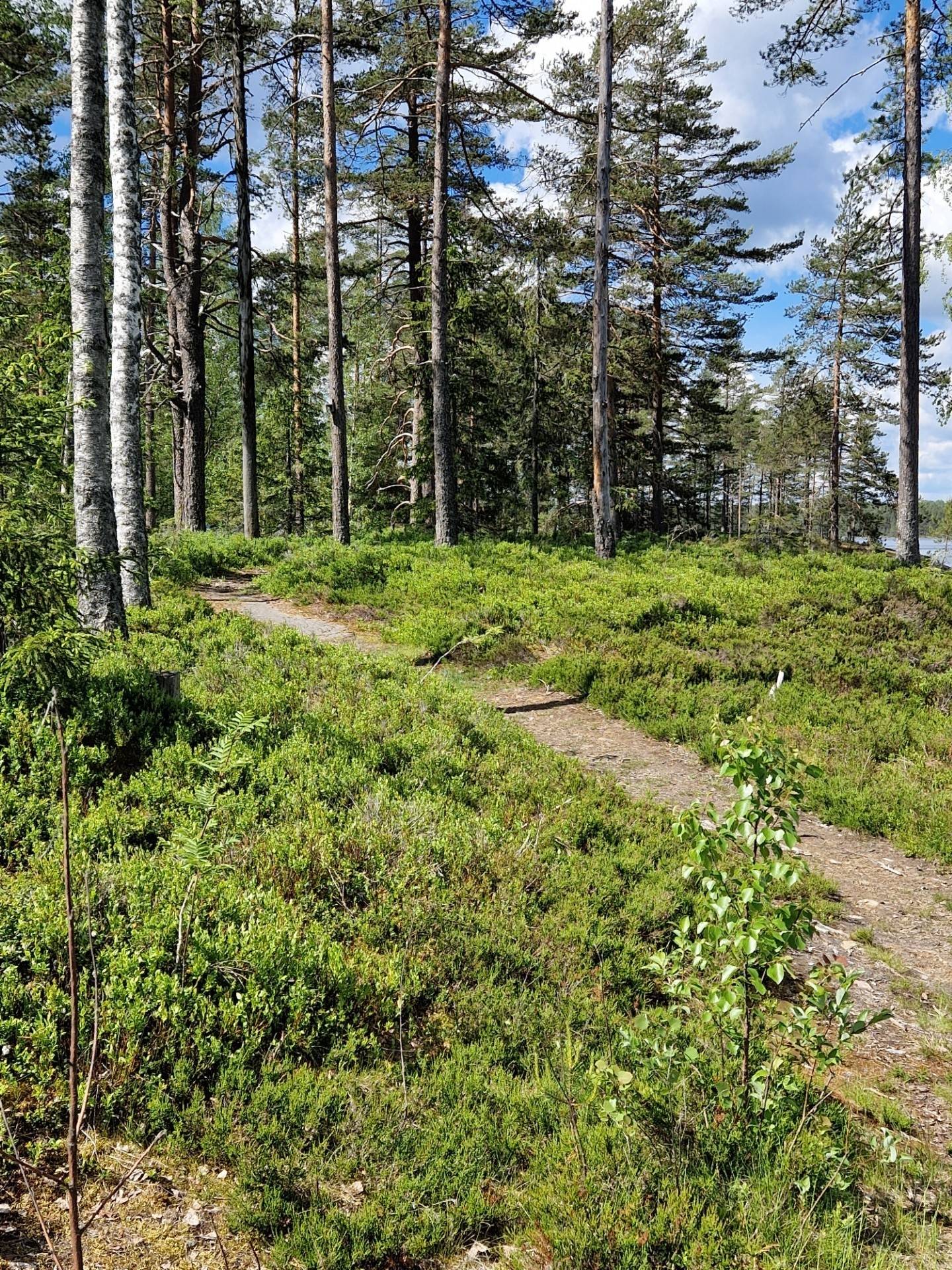 2 rum Fritidshus på Lerklockan 7 RIDDARHYTTAN Skinnskattebergs kommun - bild 32