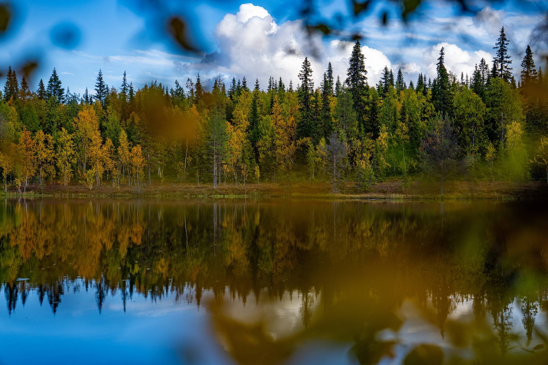 Gård/skog på Bäckmark 1:5 Storumans kommun - bild 19