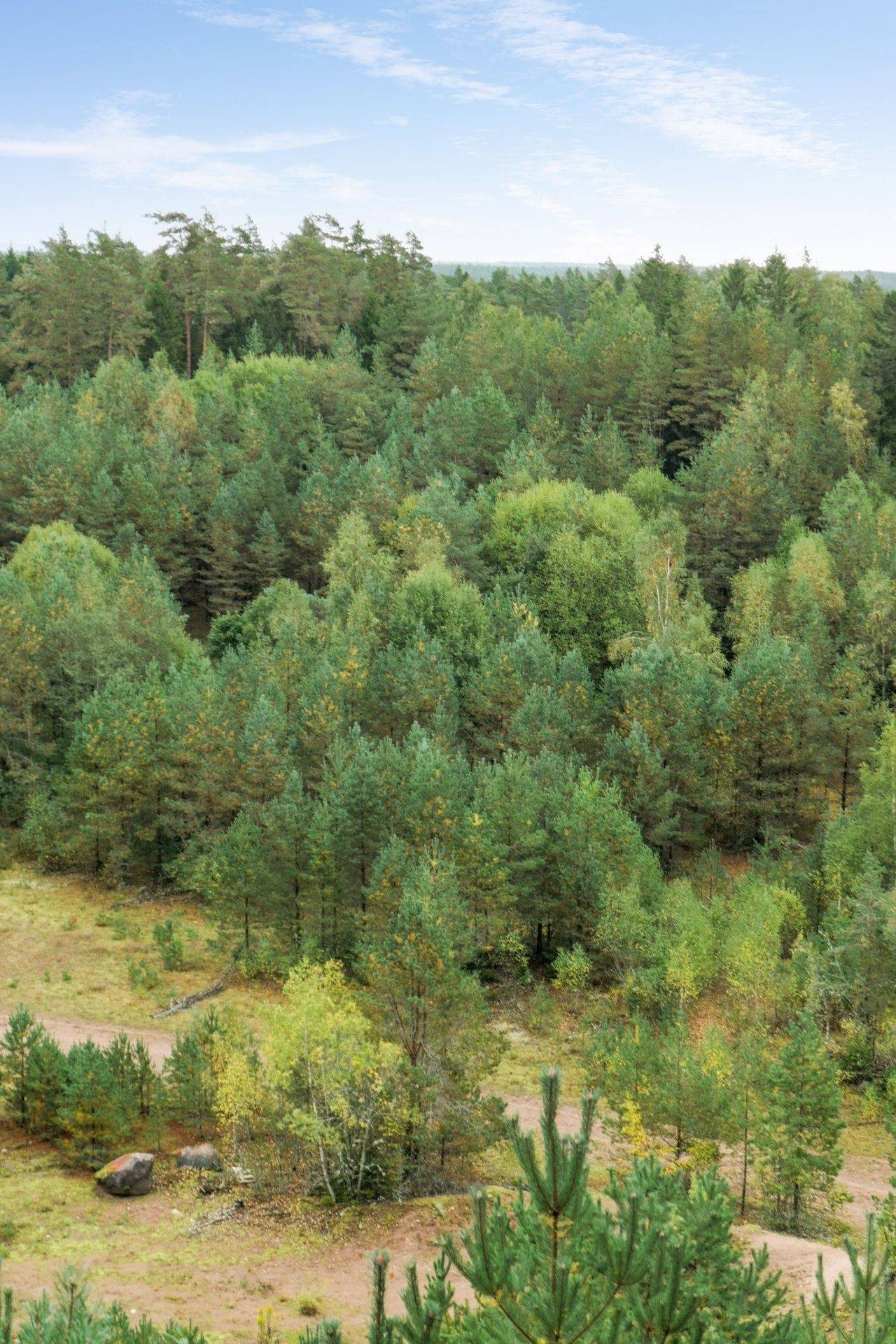 Gård/skog på 8,7 ha skogsmark i Borgunda Falköpings kommun - bild 9