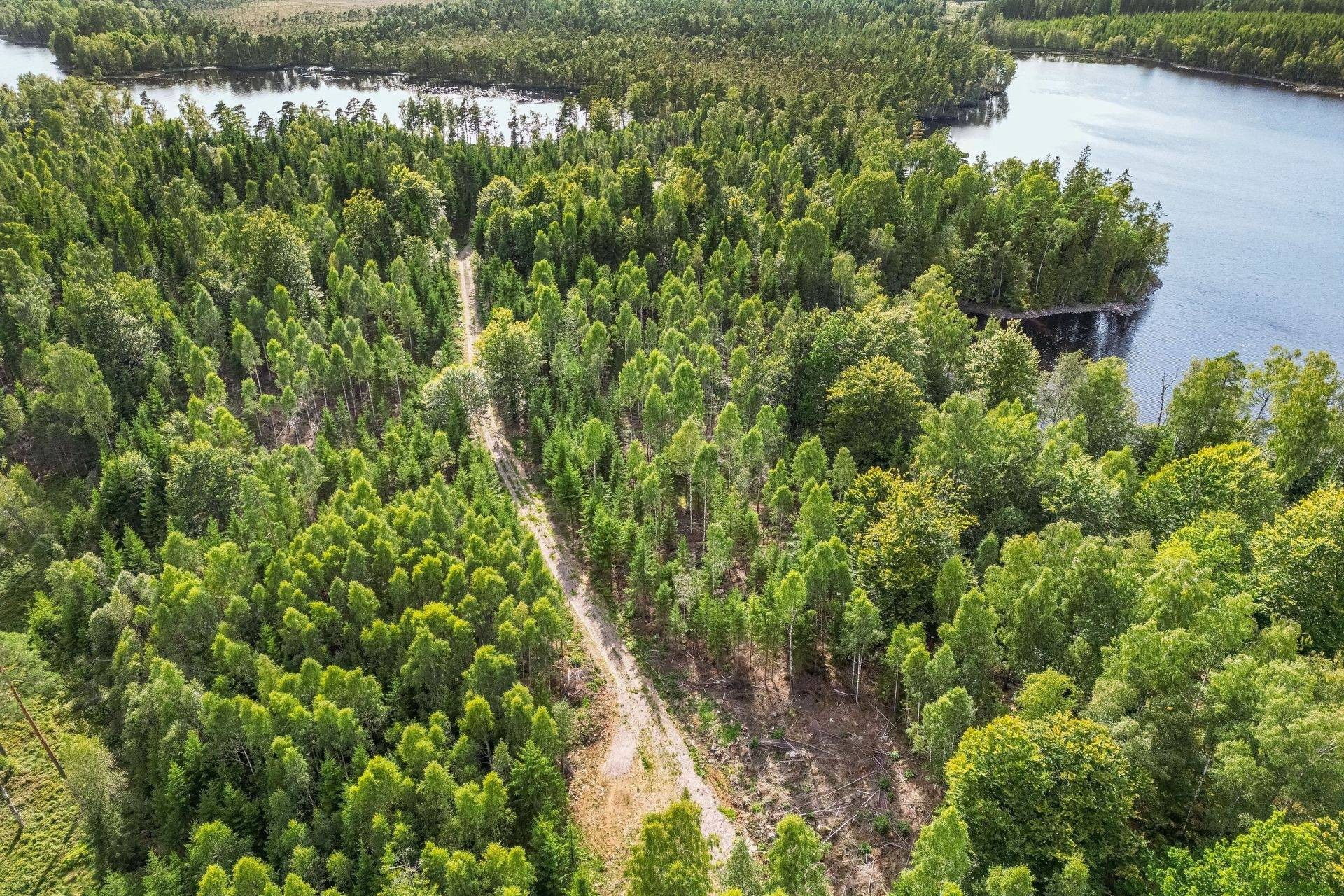 Gård med skogsbruk på SVENLJUNGA YTTRE BACKA 1:5 & 1:13 Svenljunga kommun - bild 5