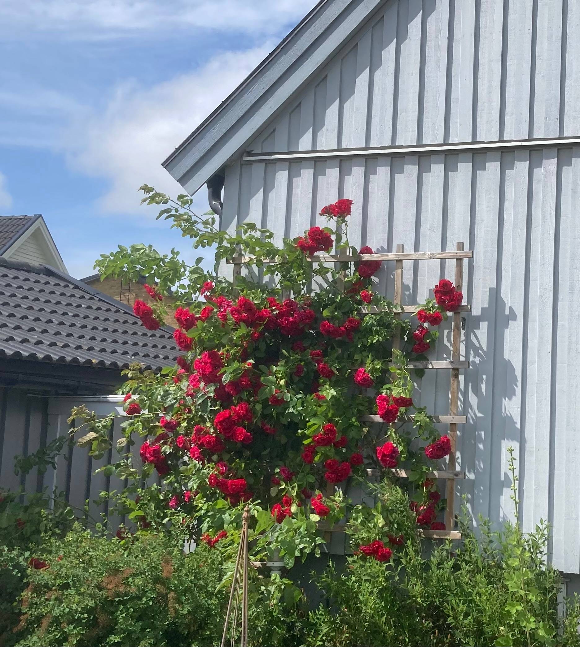 5 rum Villa på Bergsvägen 7 Kissleberg Uddevalla kommun - bild 42