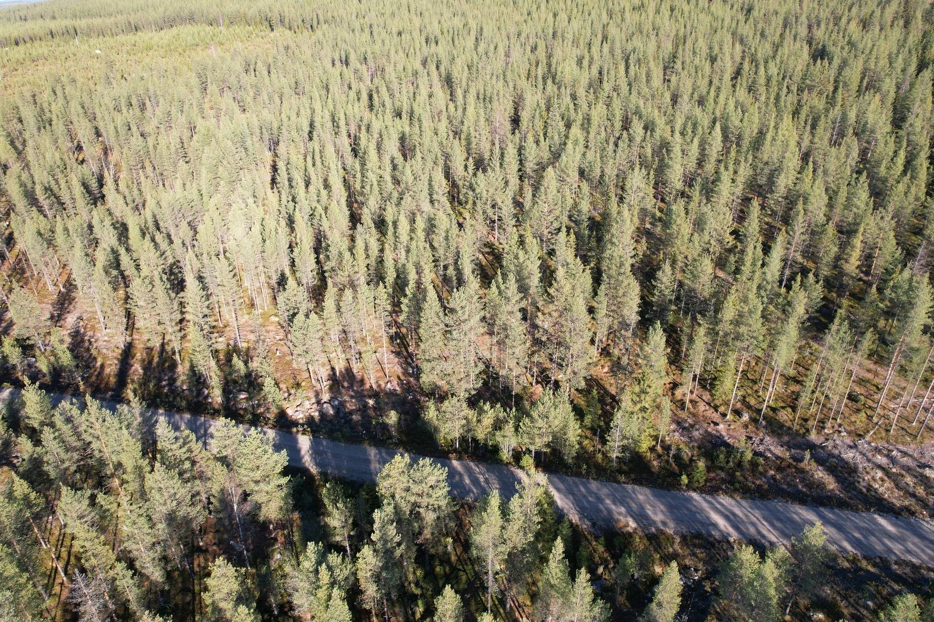 Gård/skog Malå Malå kommun - bild 7