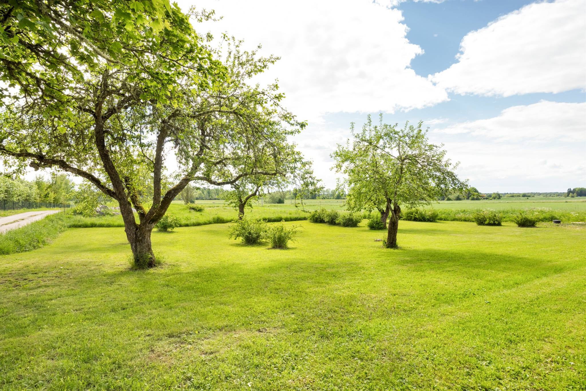 6 rum Gård/skog på Uvlunge 15 Björklinge Uppsala kommun - bild 105