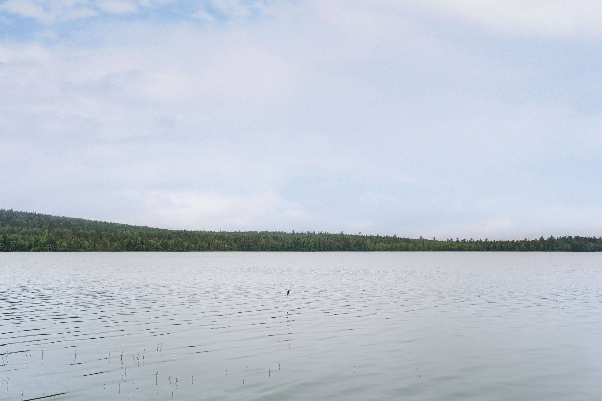 2 rum Villa på Harsa Grönvallvägen 24 Järvsö, Harsa Ljusdals kommun - bild 35