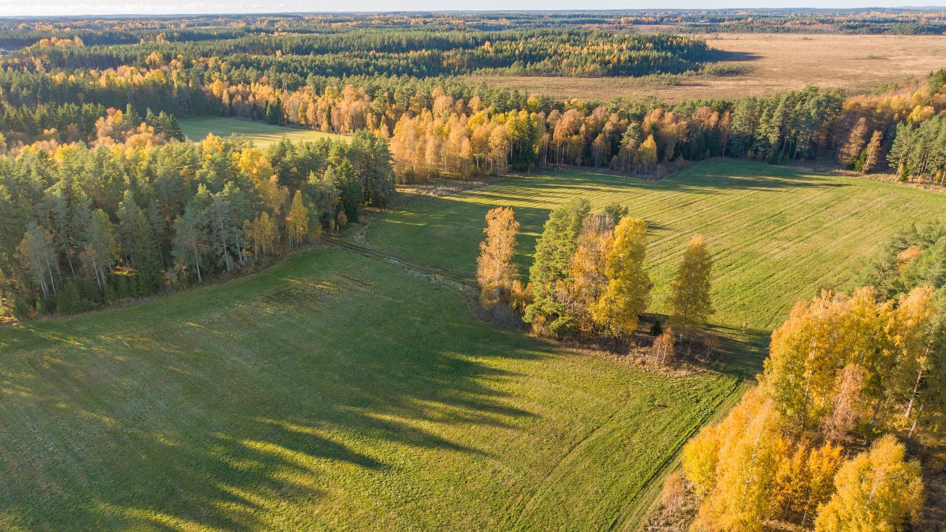 Gård med skogsbruk på Sanda Kristinehamns kommun - bild 4