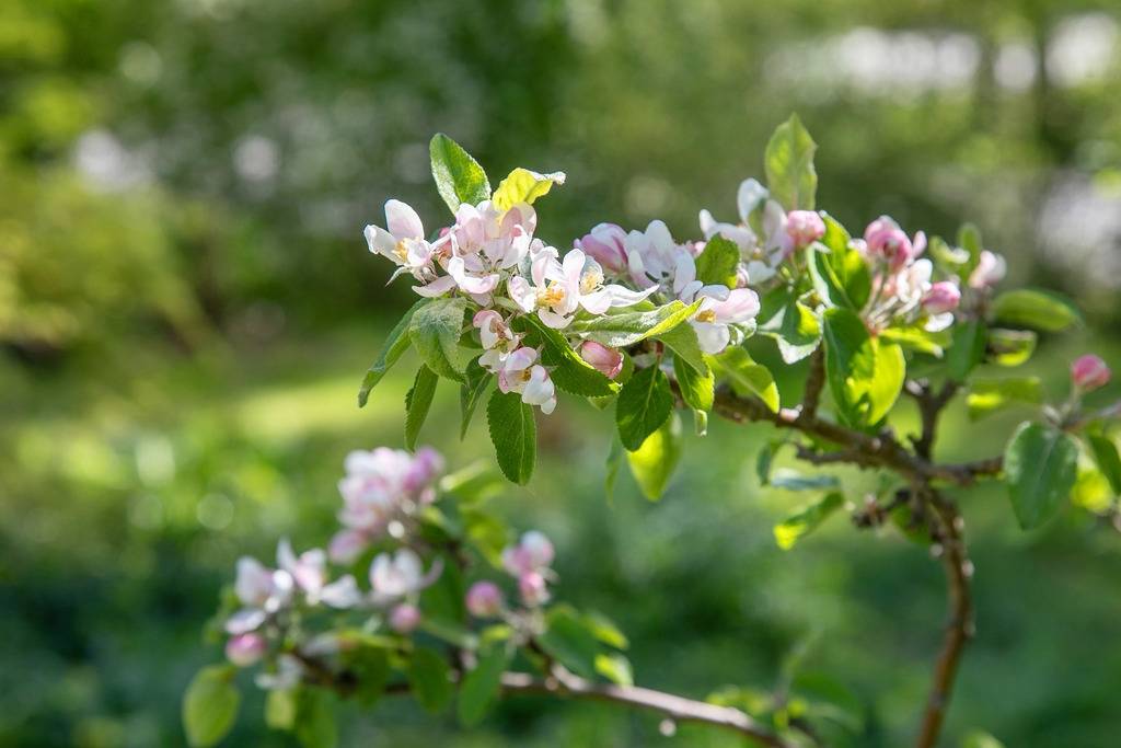 5 rum Villa på Lärkvägen 8 Saltsjöbaden Nacka kommun - bild 37