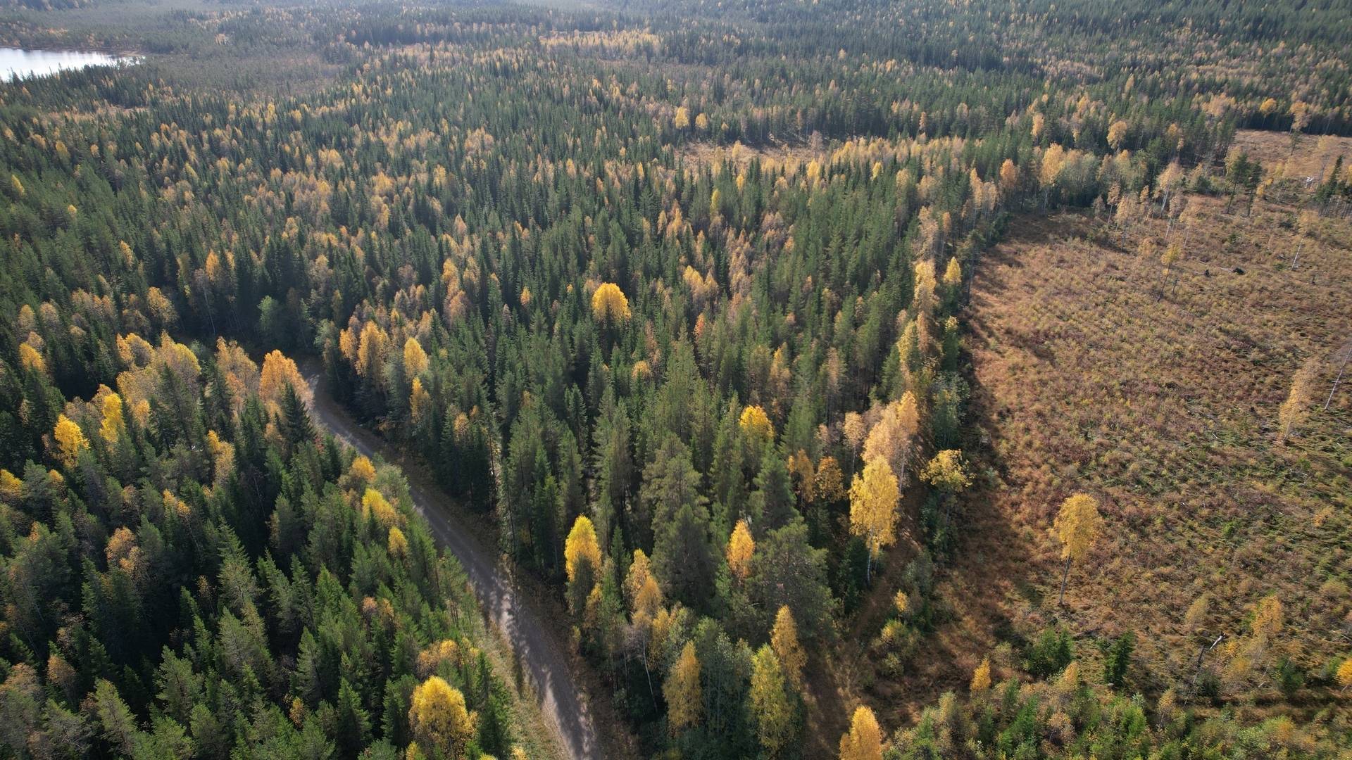 Gård/skog på RAGUNDA RAGUNDA-BÖLE 2:107 Ragunda kommun - bild 2