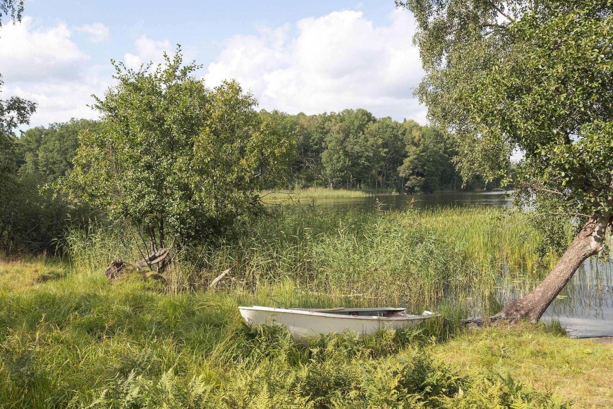 4 rum Kedjehus på Trollskogsvägen 12 Västra Balingsnäs Huddinge kommun - bild 44