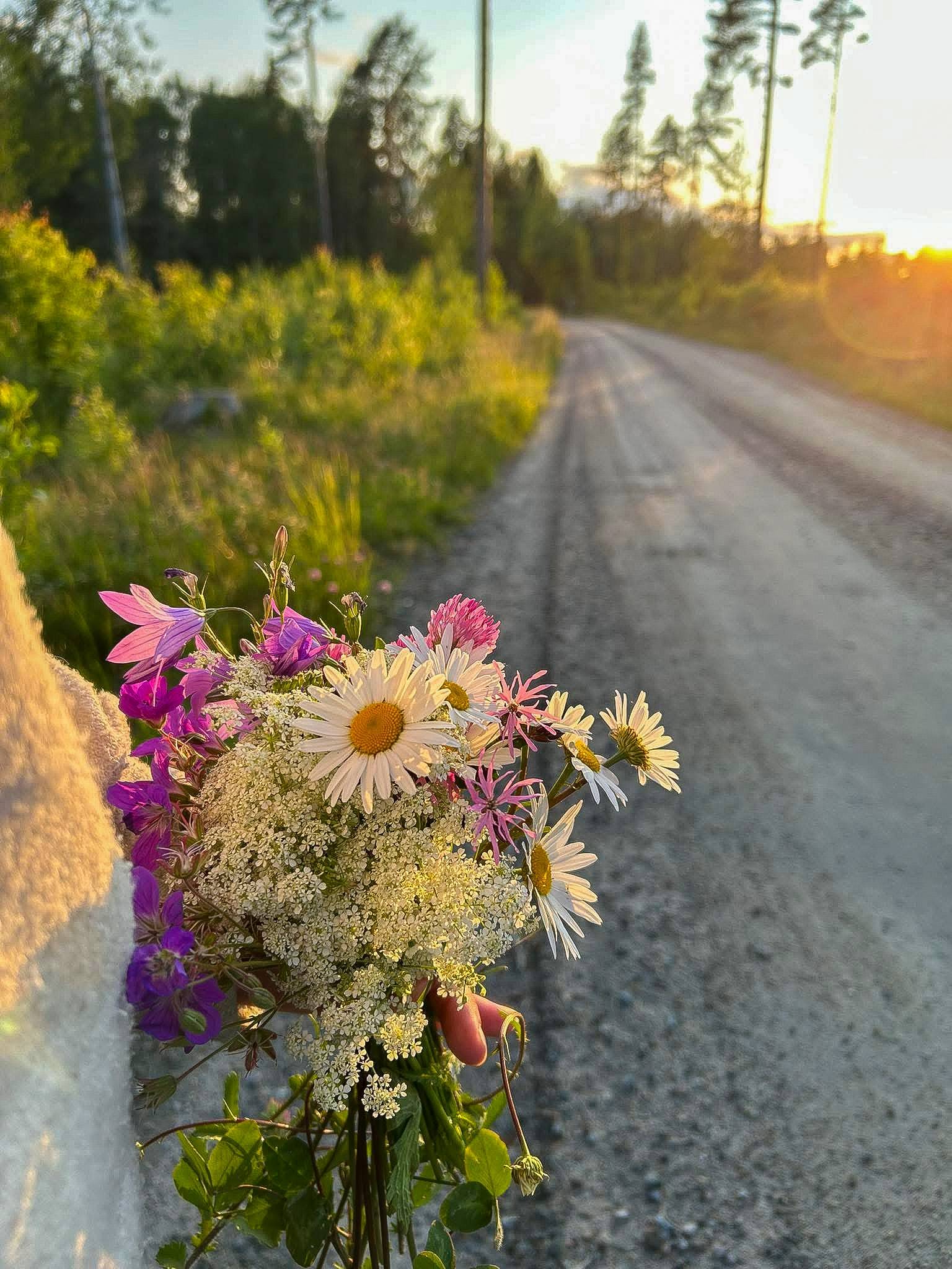 2 rum Fritidshus på Bofinkvägen 7 Söderhamns kommun - bild 24