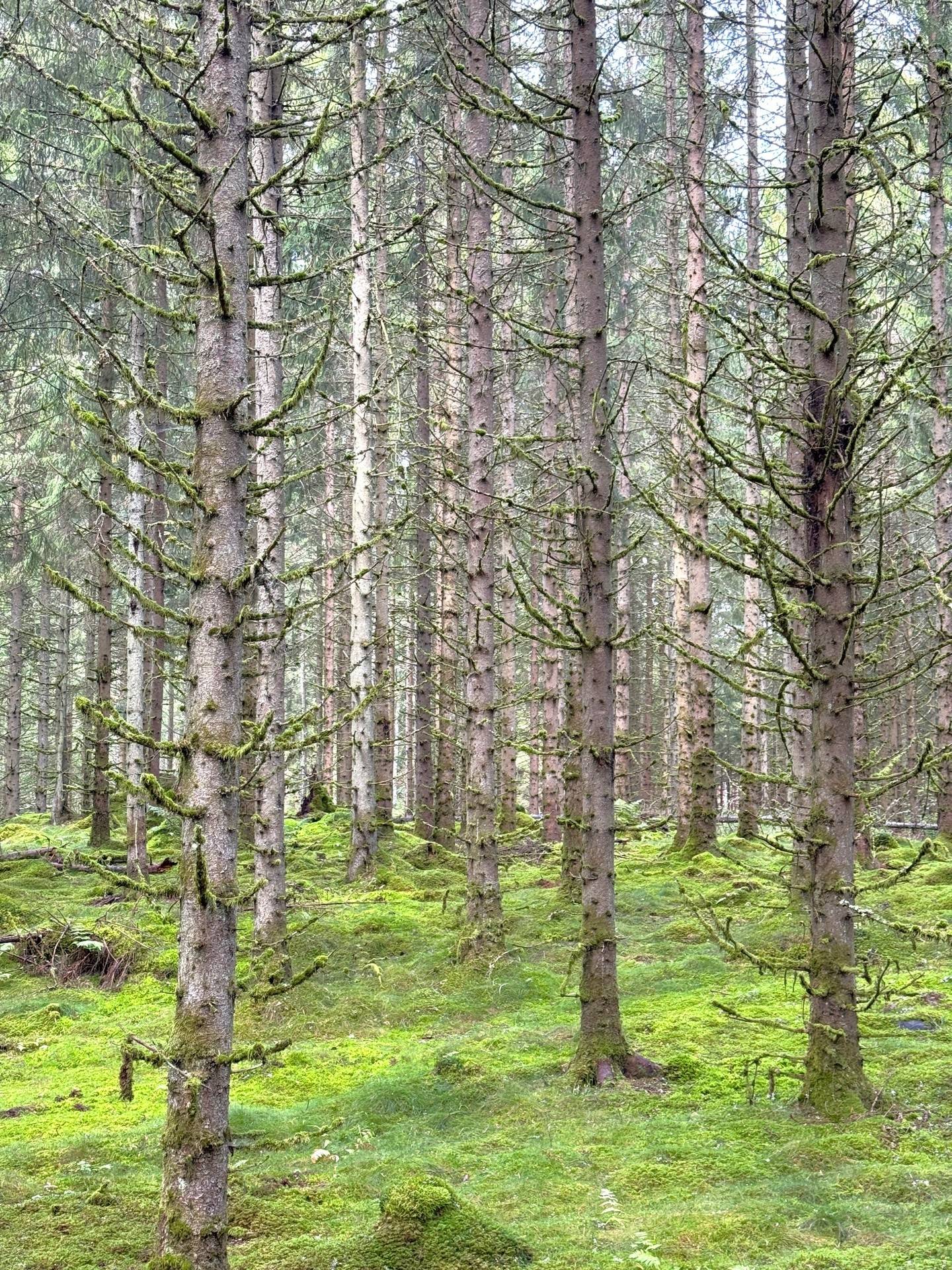 Gård med jordbruk på Backabo 102 Södra Vånga Ulricehamns kommun - bild 57