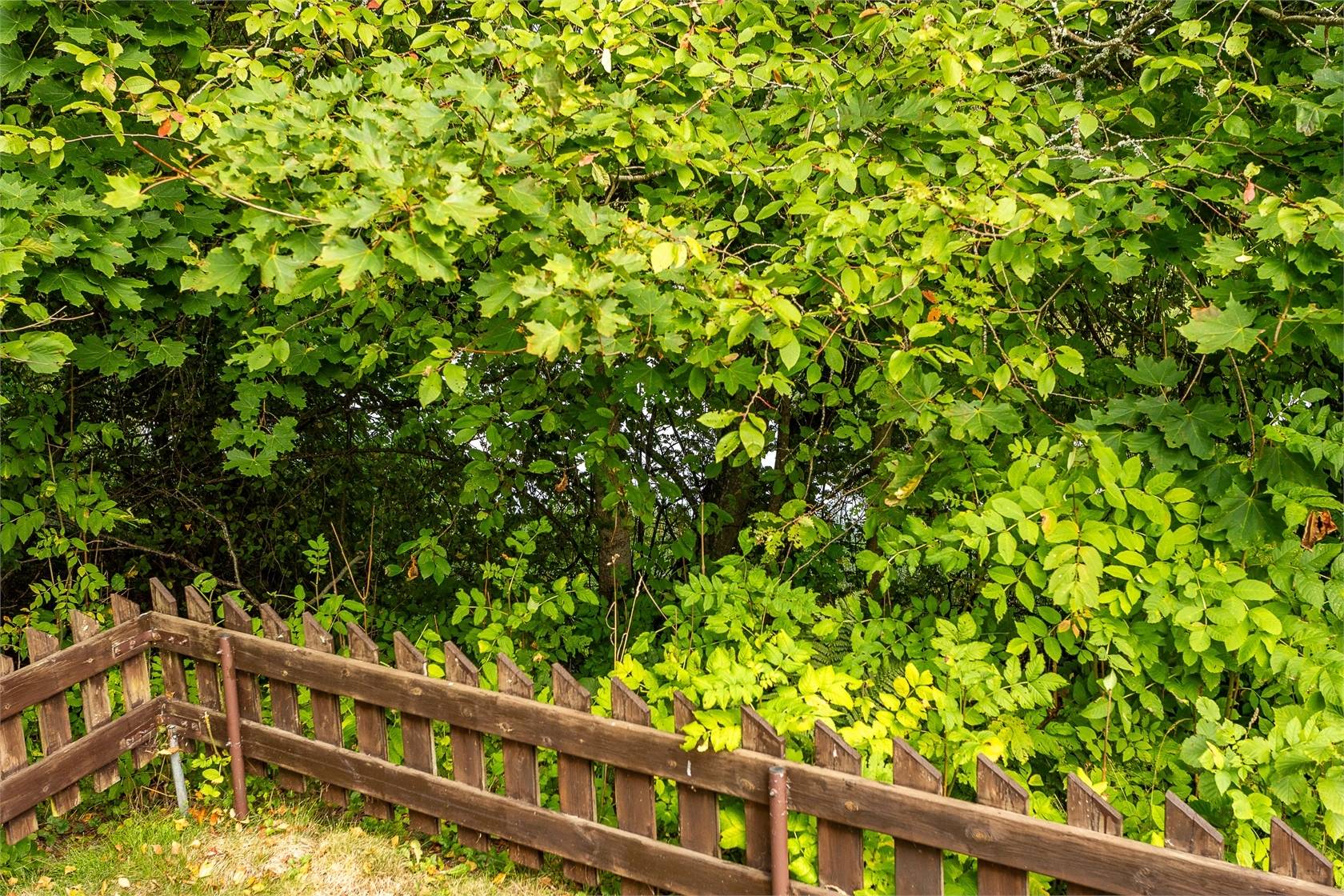 5 rum Villa på Skulptörvägen 10 Centralt Högsby Högsby kommun - bild 39