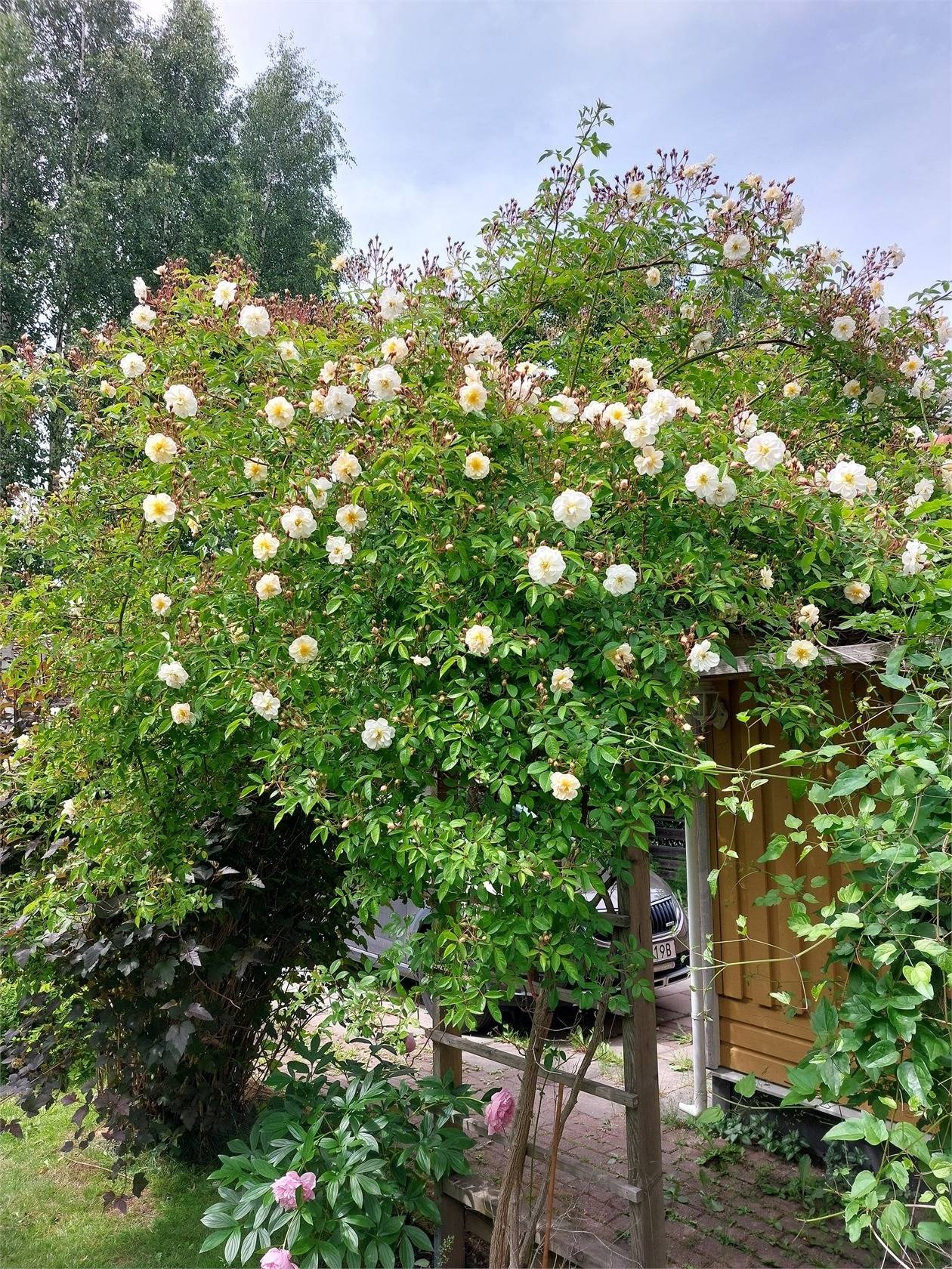5 rum Villa på Travbanan 9 Tumba Botkyrka kommun - bild 37