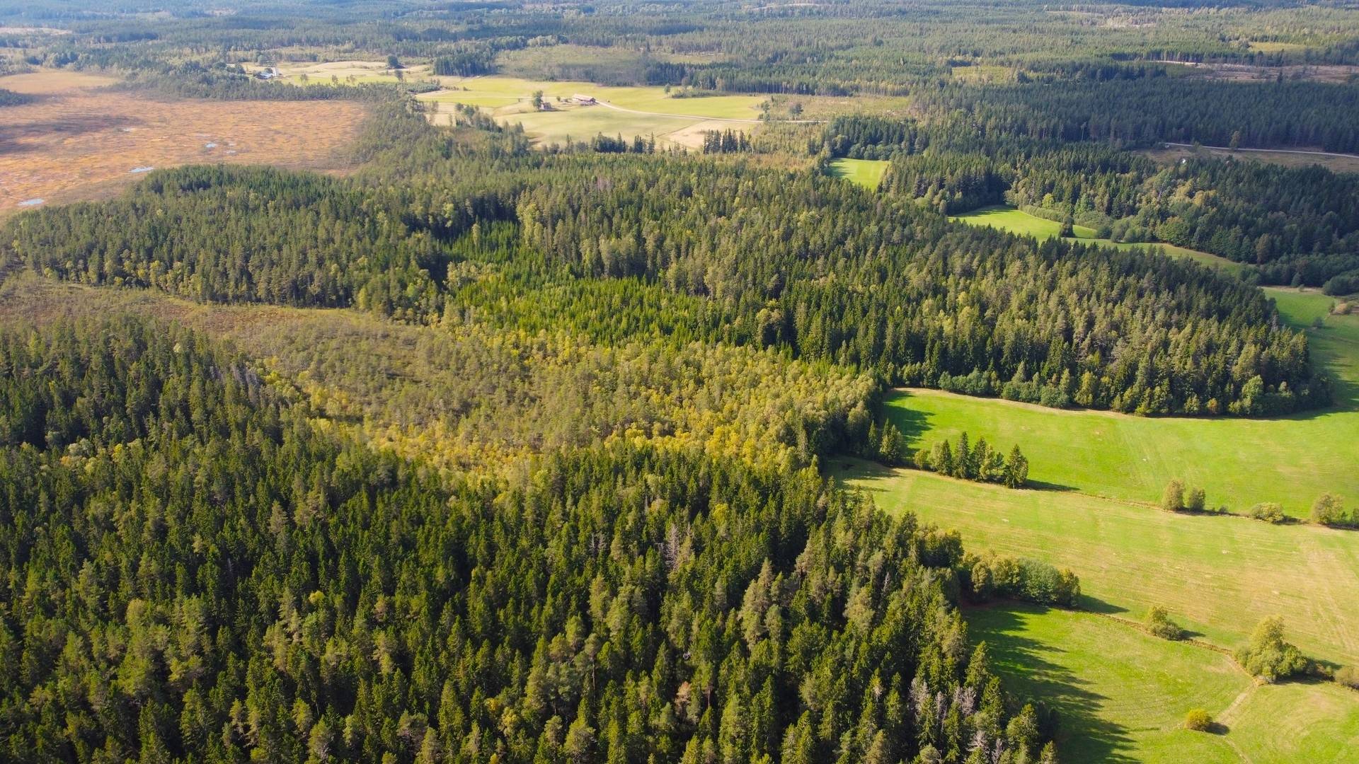 Gård med jordbruk på Snårbotten Laggartorp 23 Laggartorp Storfors kommun - bild 23