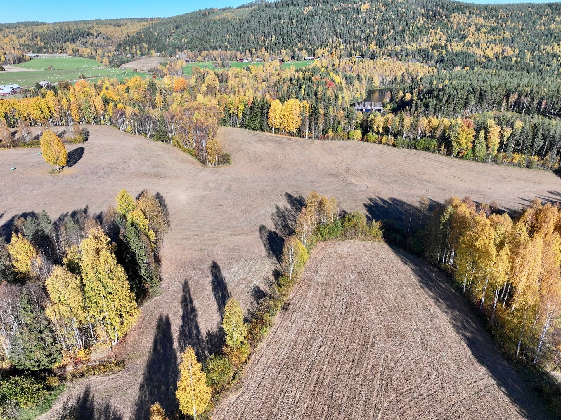 Gård/skog på Örträsk 2:38 Lycksele kommun - bild 11