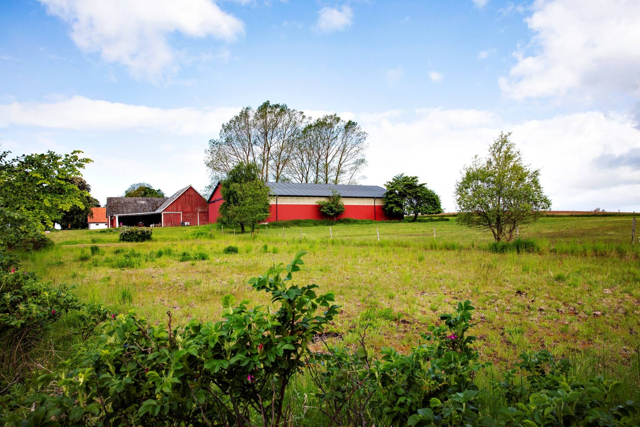 3 rum Villa på ASSARHÖG, Tjustorpsvägen 134-9 Skabersjö Svedala kommun - bild 34