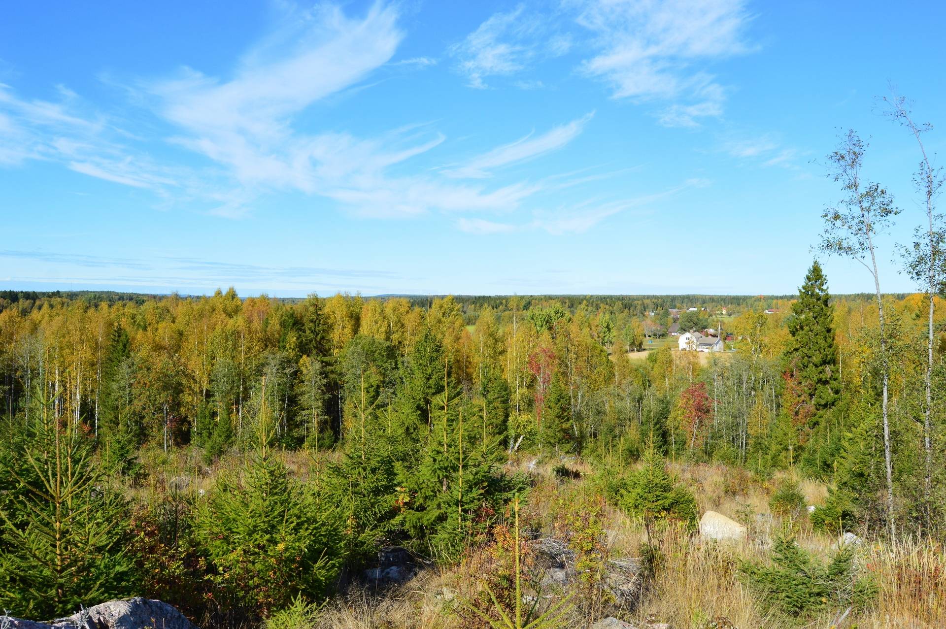 Gård med skogsbruk på Landtjärn Sandvikens kommun - bild 38