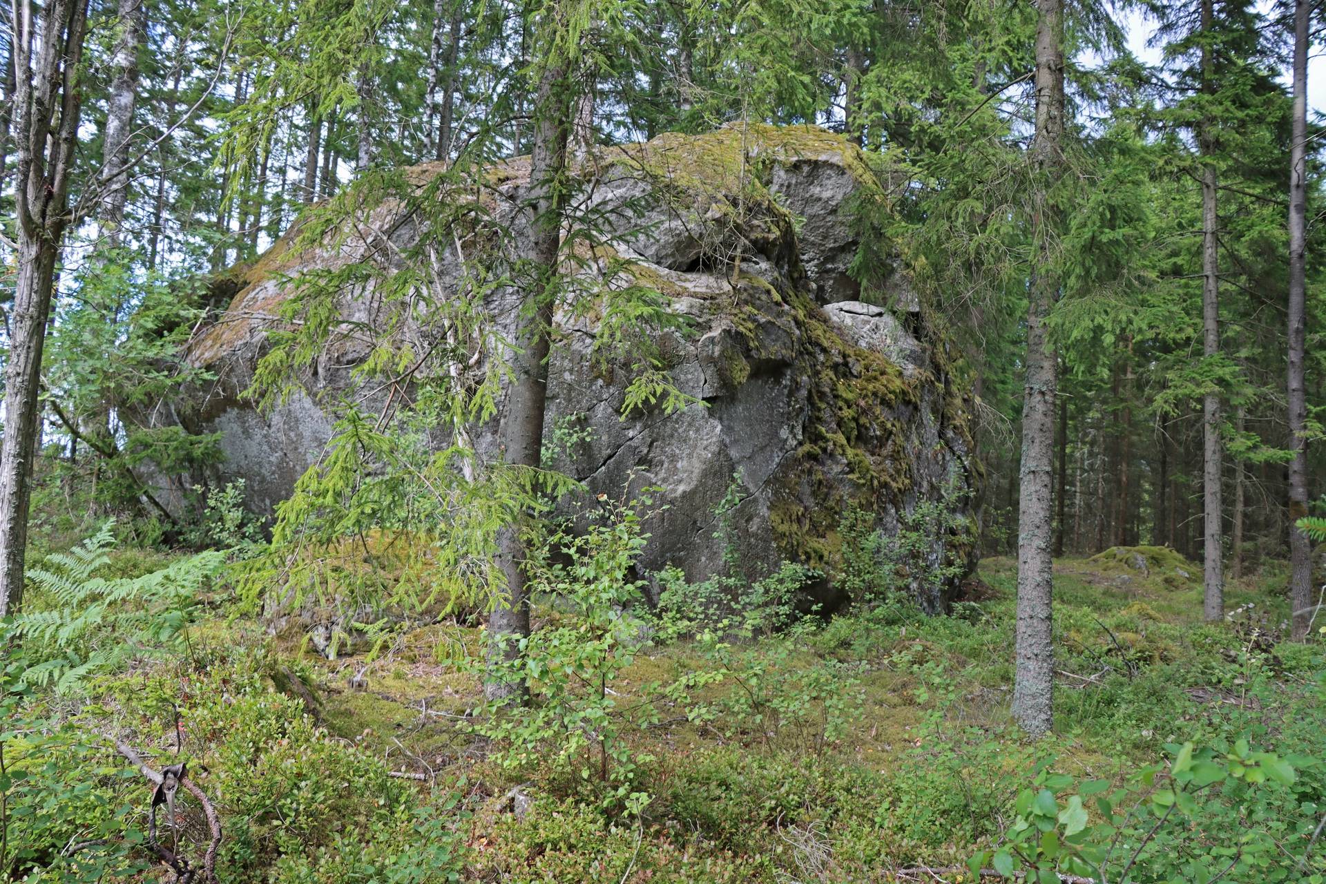 Gård/skog på Ållekulla Osby kommun - bild 5