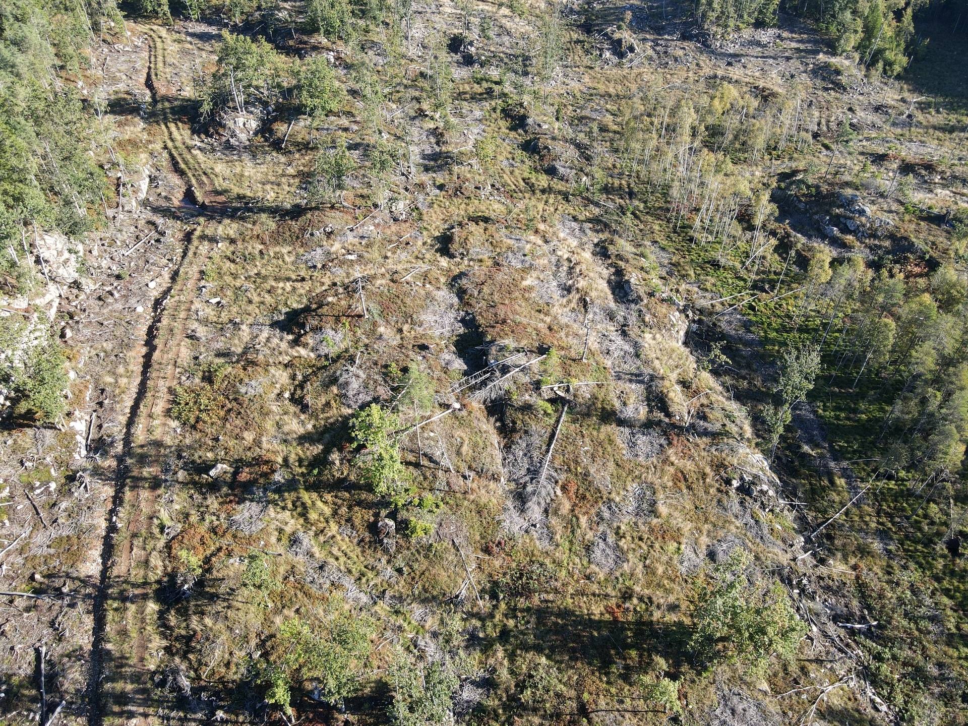 Gård/skog på Skogsfastighet i Hogstorp Hogstorp Uddevalla kommun - bild 8