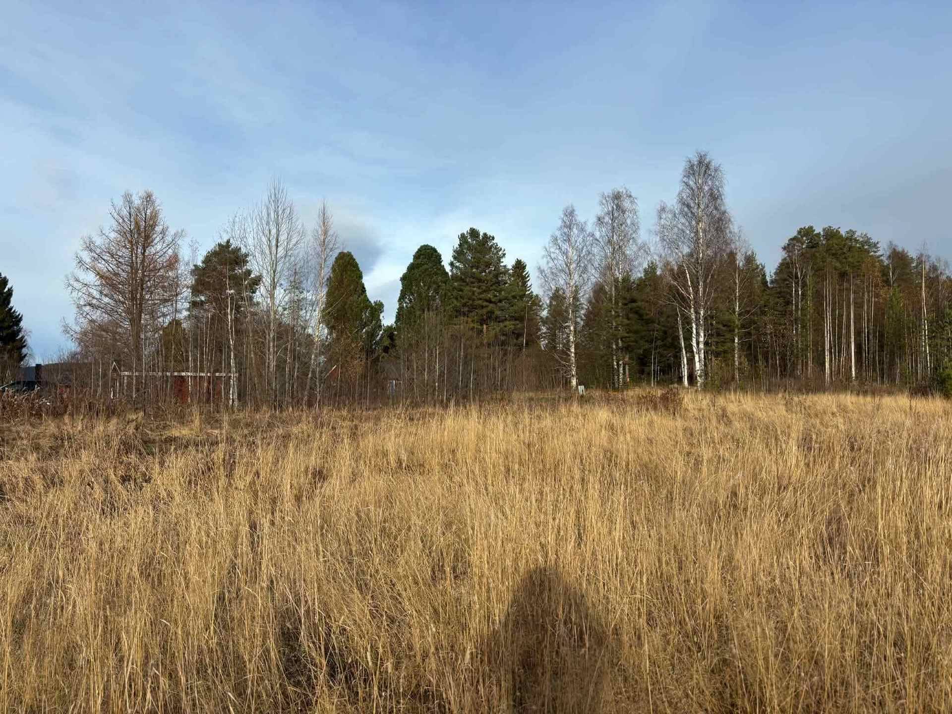 Gård med skogsbruk på BODEN BREDÅKER 9:10 Kusträsk Bodens kommun - bild 6
