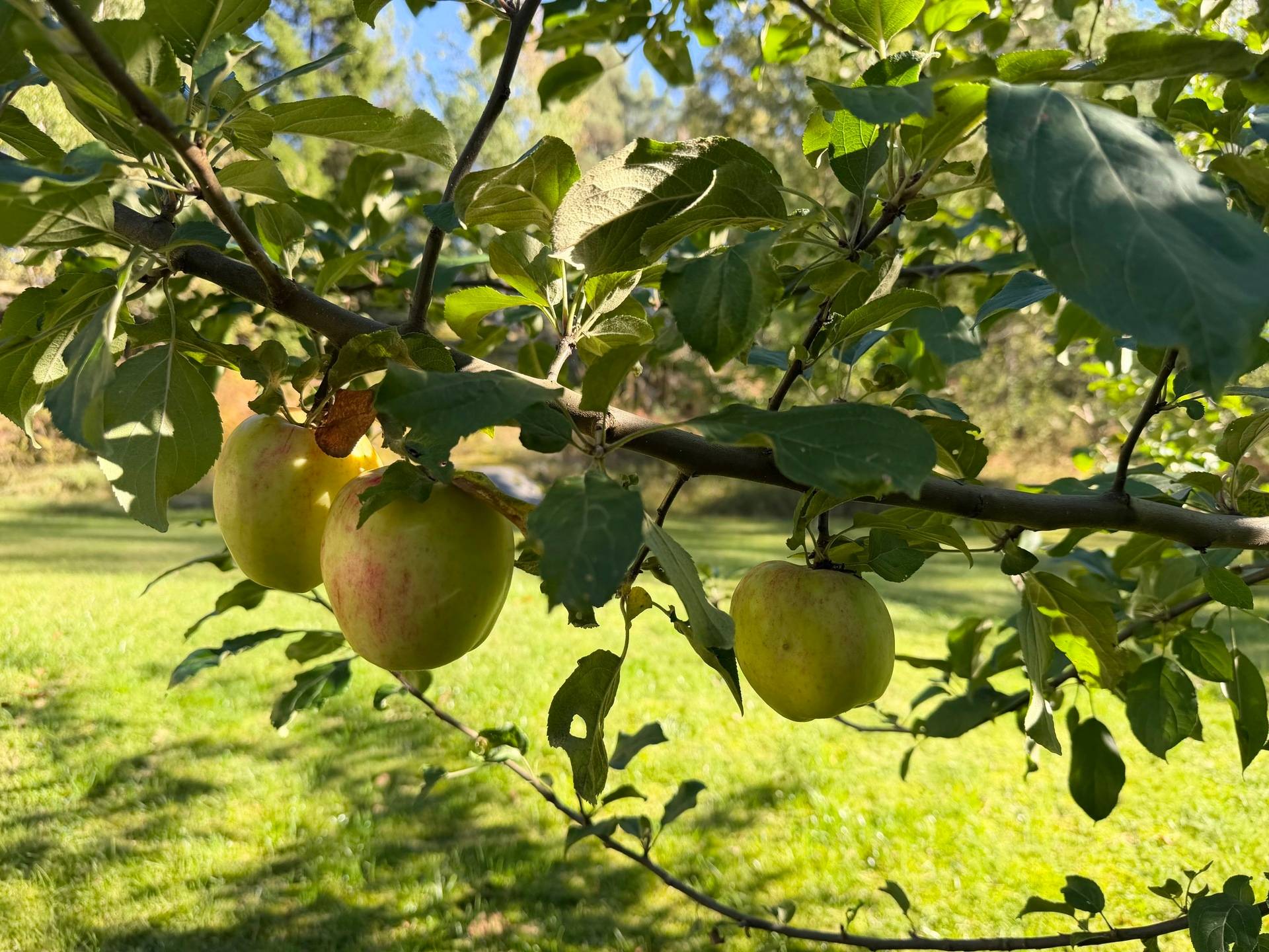 5 rum Villa på Rörängsvägen 35 Rindö Vaxholms kommun - bild 7